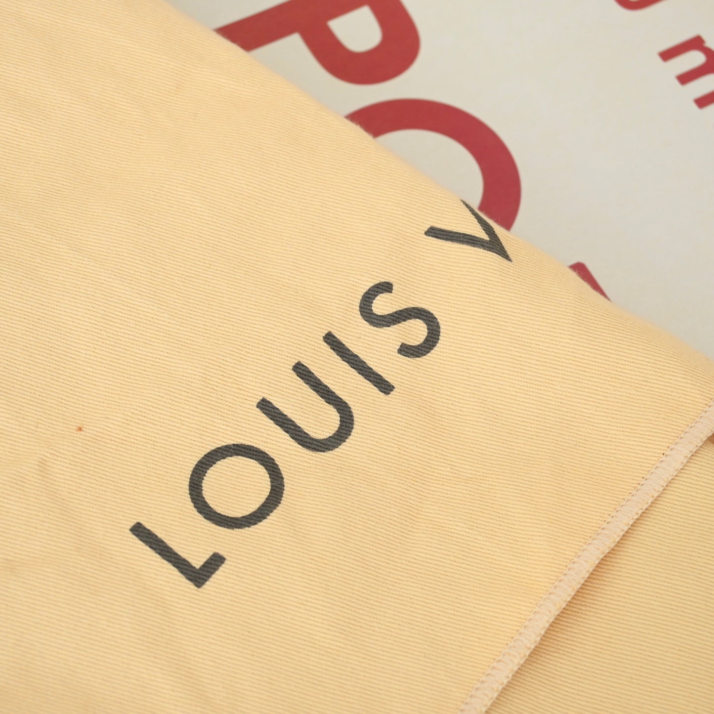 Louis Vuitton Mini Palm Springs Backpack