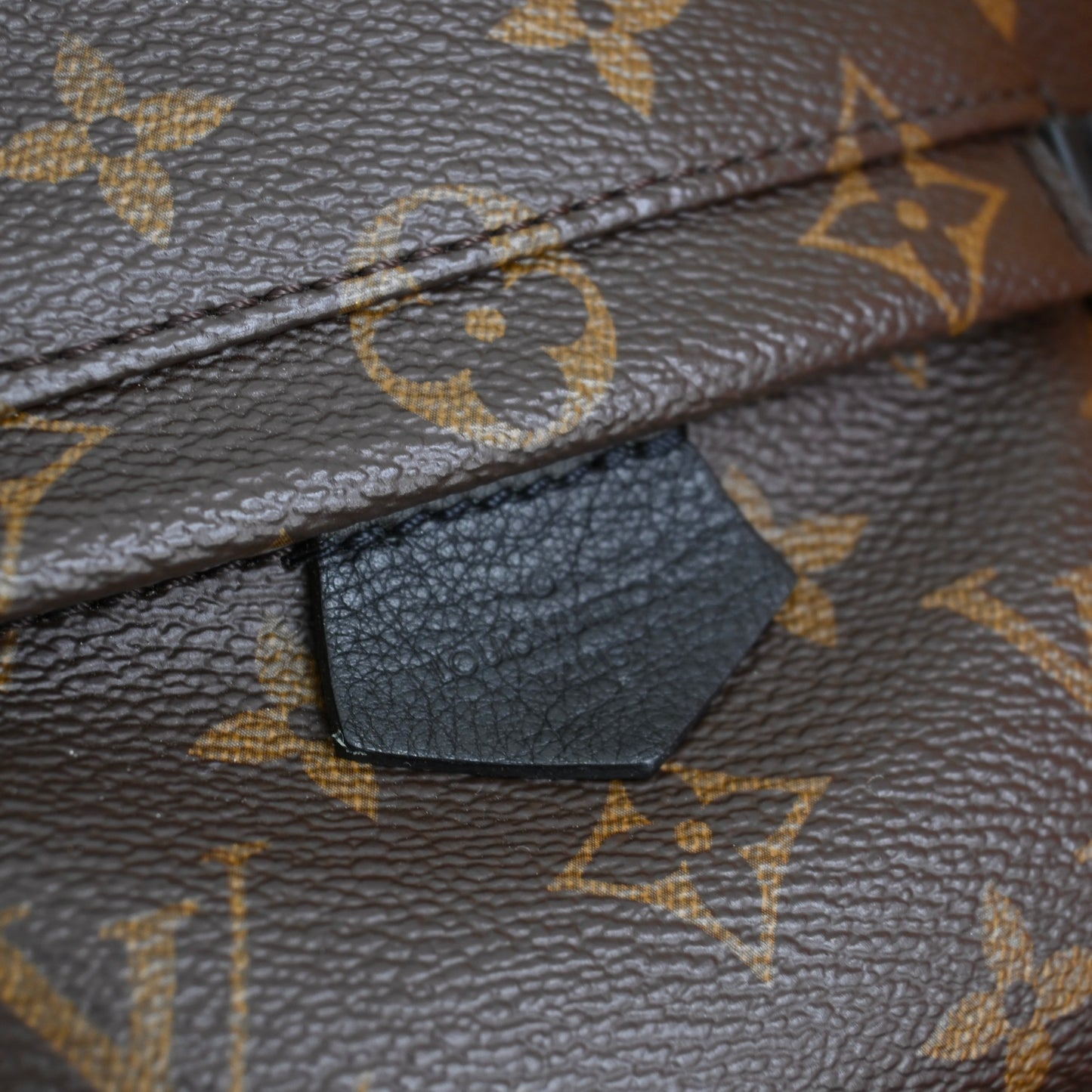 Louis Vuitton Mini Palm Springs Backpack