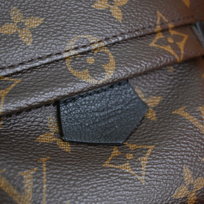 Louis Vuitton Mini Palm Springs Backpack