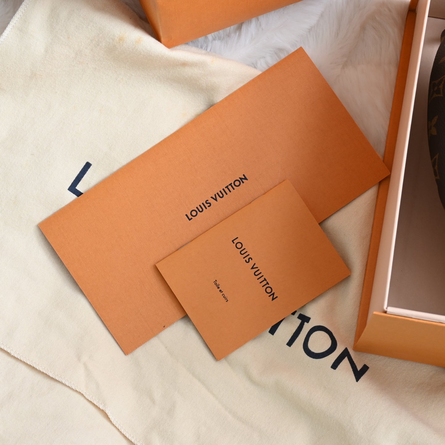 Louis Vuitton Bumbag Monogram