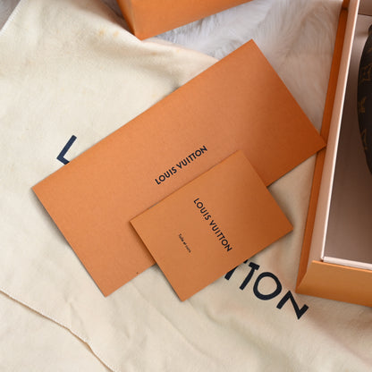 Louis Vuitton Bumbag Monogram