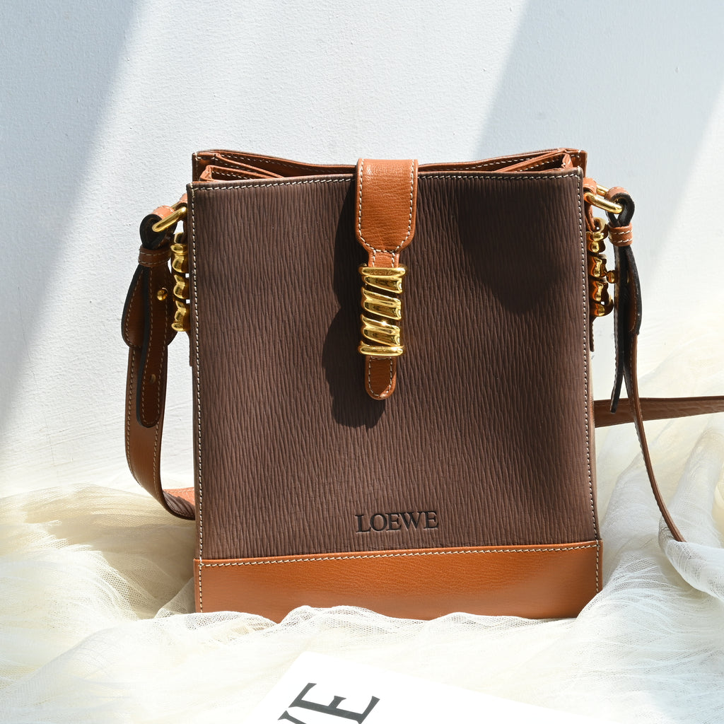 Loewe Velasquez Twist Crossbody Bag - Leluxe Vintage Sdn. Bhd.