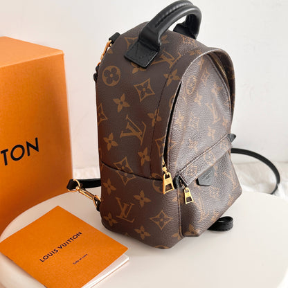 Louis Vuitton Mini Palm Spring Backpack