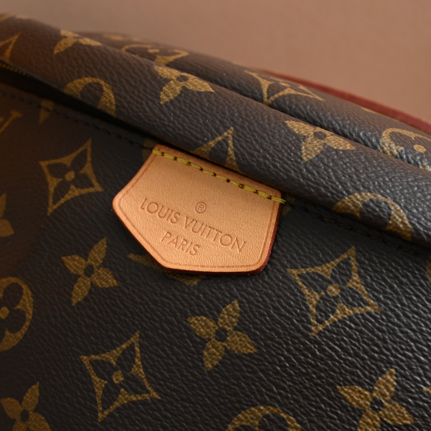 Louis Vuitton Bumbag Monogram