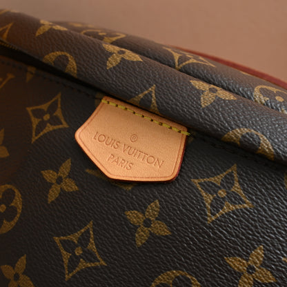 Louis Vuitton Bumbag Monogram
