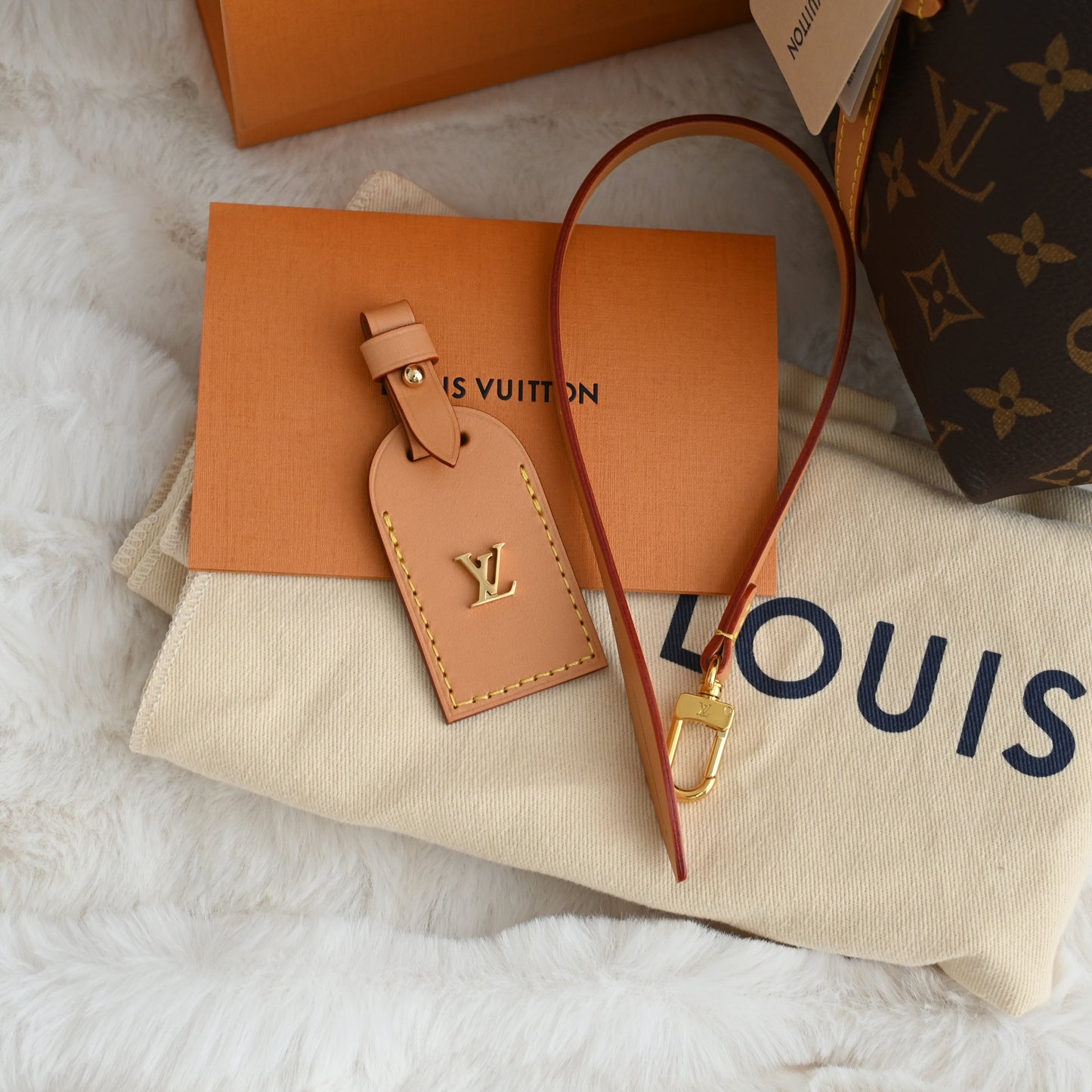 Louis Vuitton Carryall PM