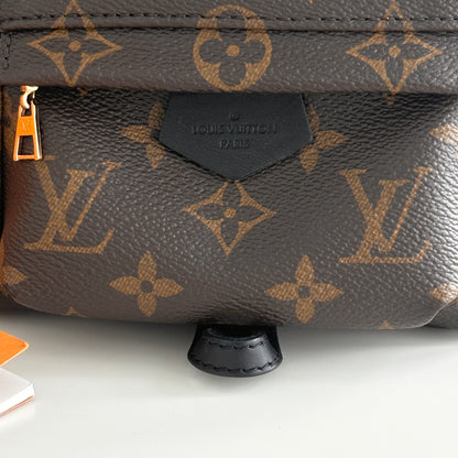 Louis Vuitton Mini Palm Spring Backpack