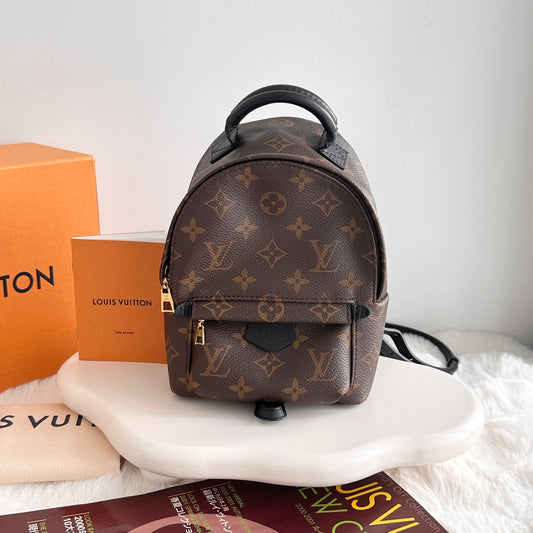 Louis Vuitton Mini Palm Spring Backpack