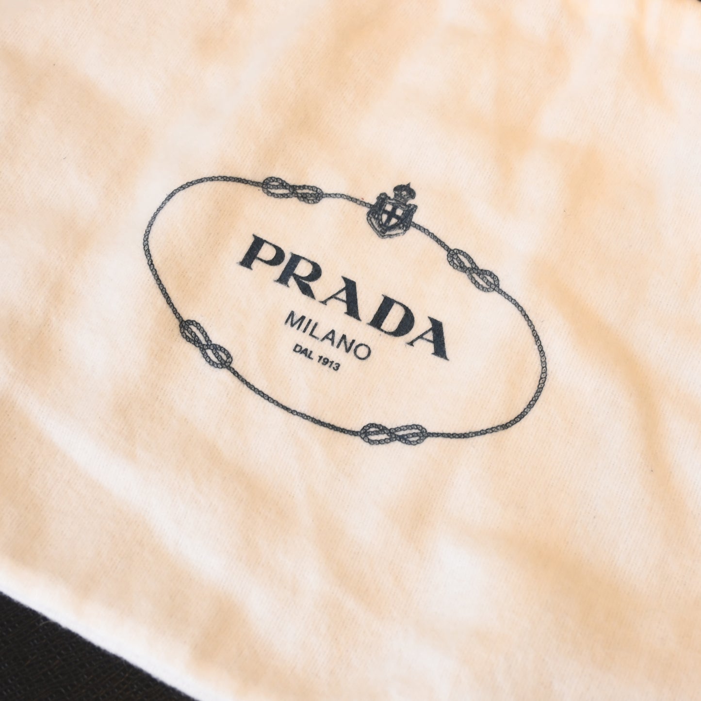 Prada Hobo Re-edition 2005 Nylon