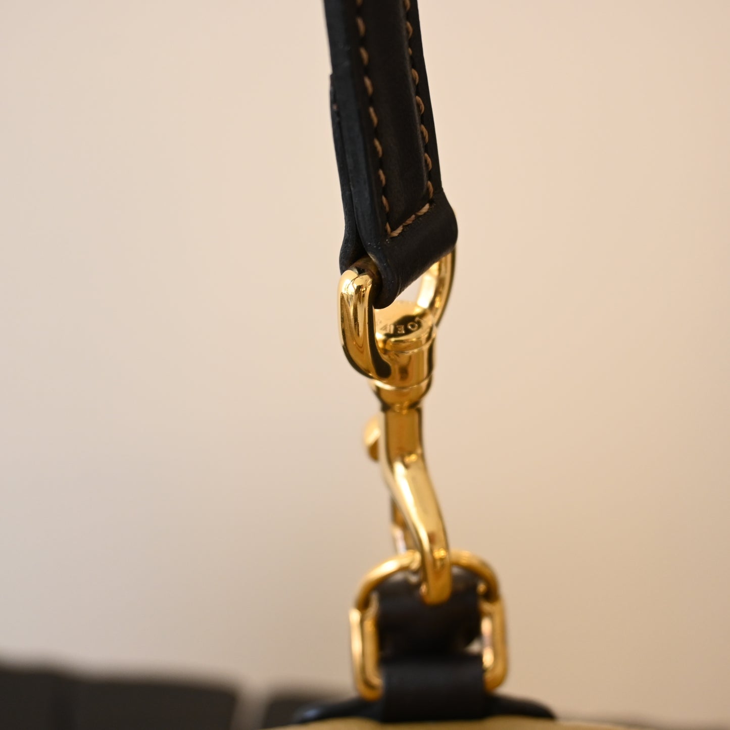 Loewe Amazona 28 Calfksin