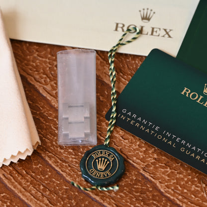Rolex Datejust 41 Mint Green Oyster (Ref. 126300)
