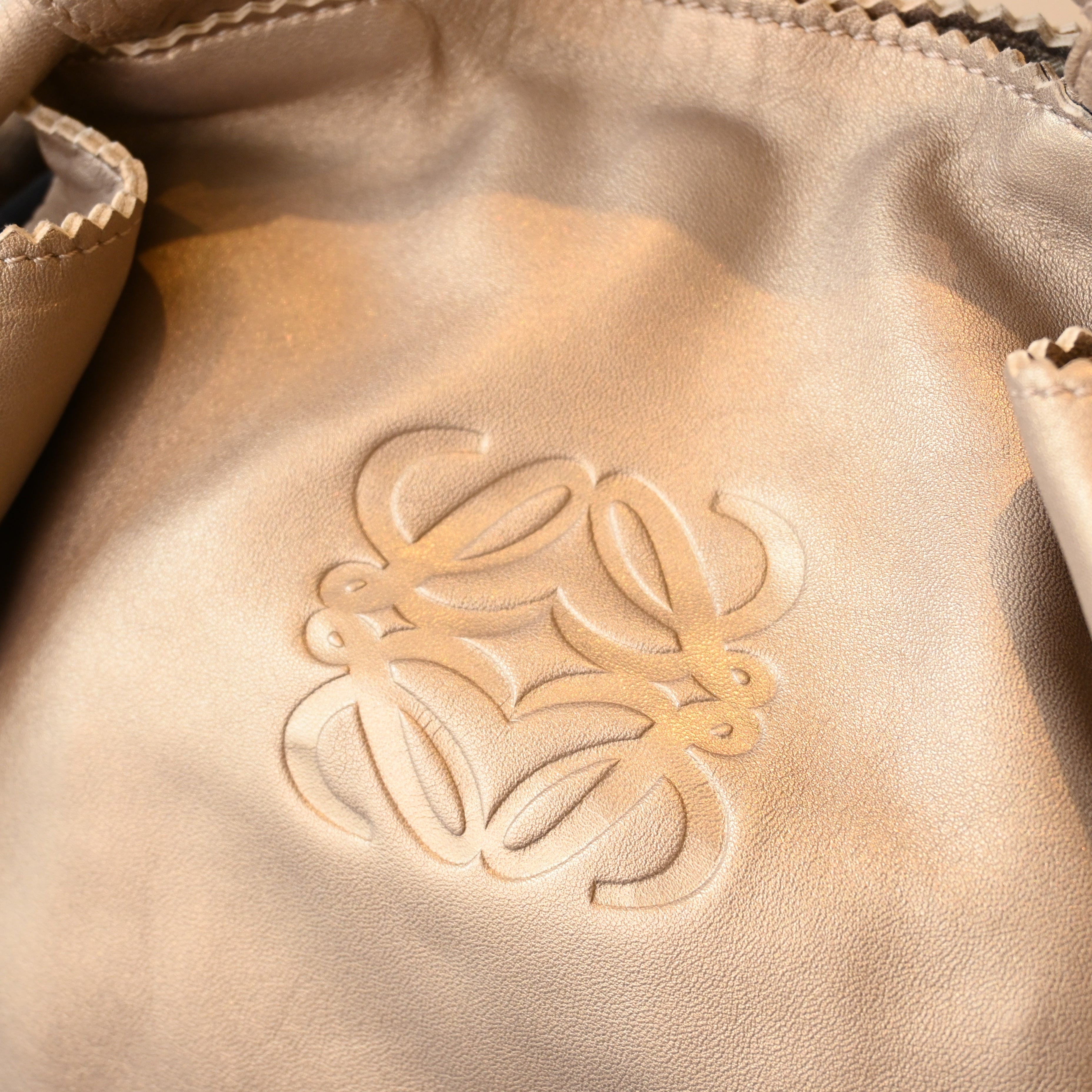 Loewe Nappa Aire Handbag