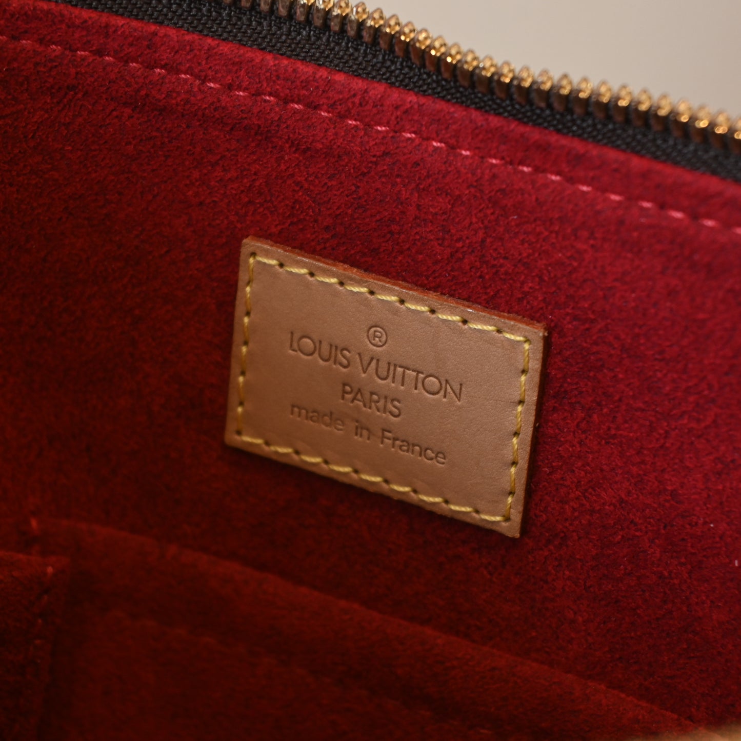 Louis Vuitton Monogram Coussin