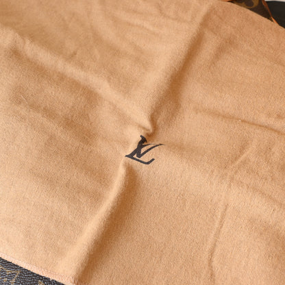 Louis Vuitton Monogram Coussin