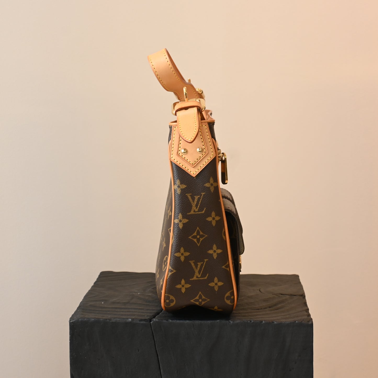 Louis Vuitton Monogram Hudson GM