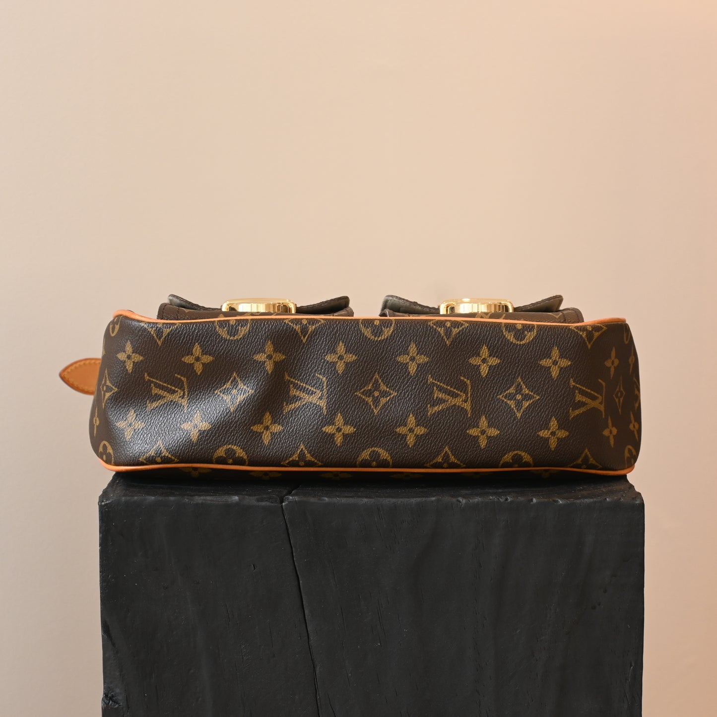 Louis Vuitton Monogram Hudson GM