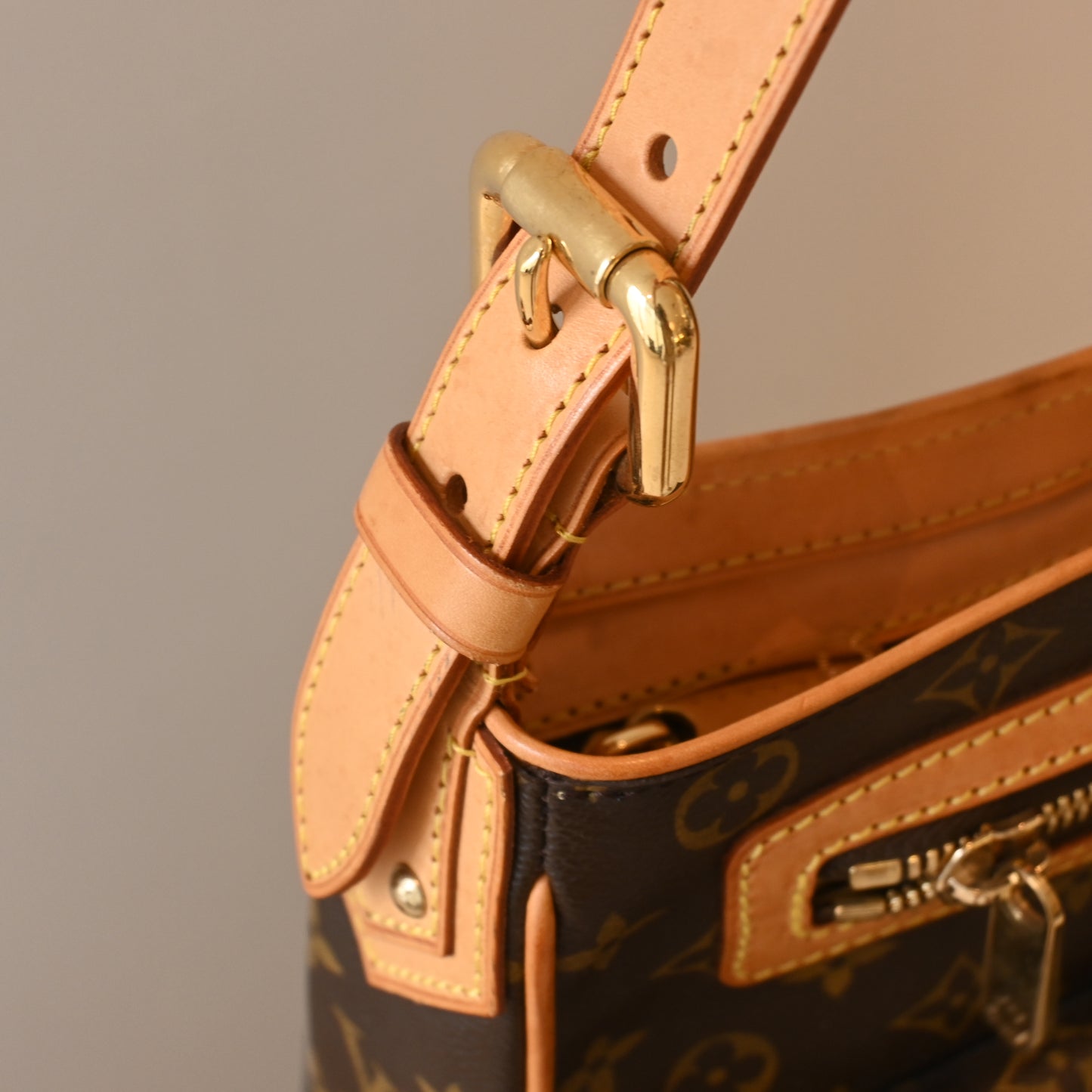 Louis Vuitton Monogram Hudson GM