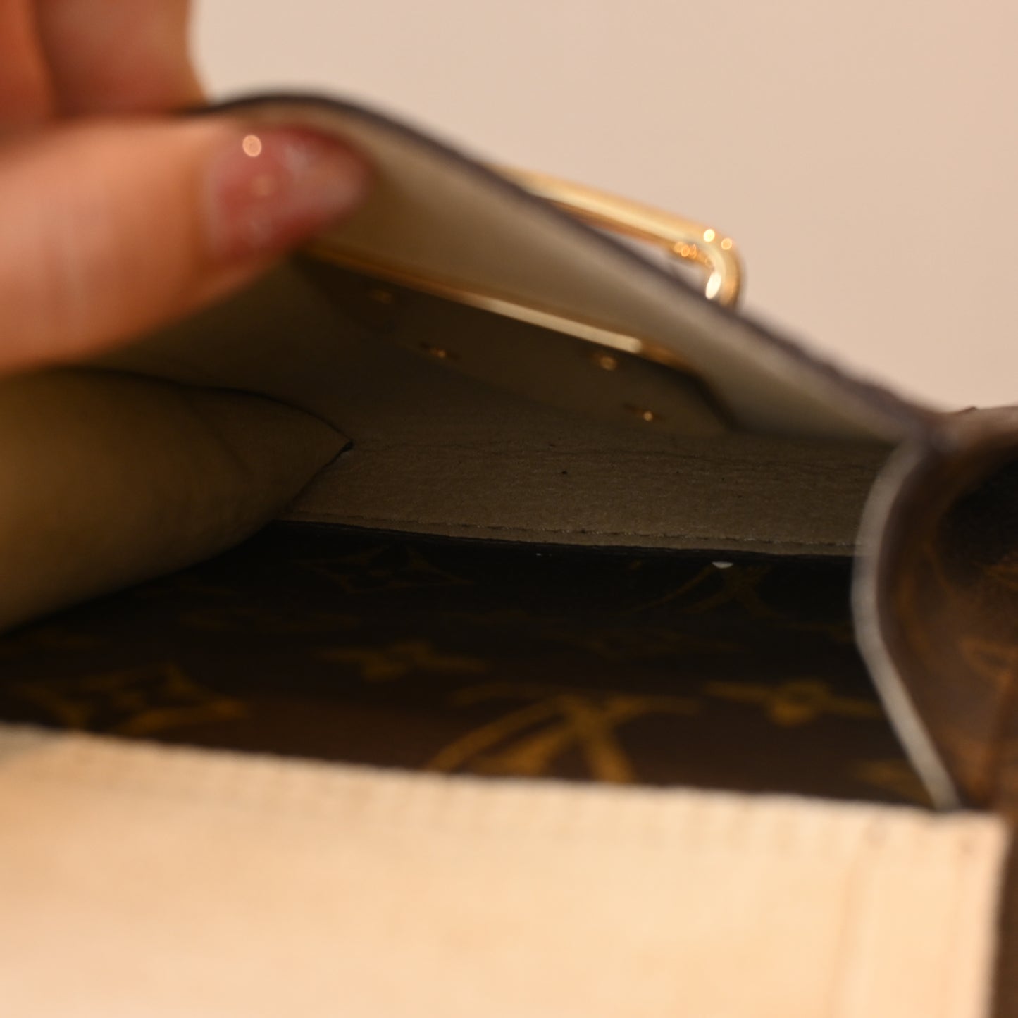 Louis Vuitton Monogram Hudson GM