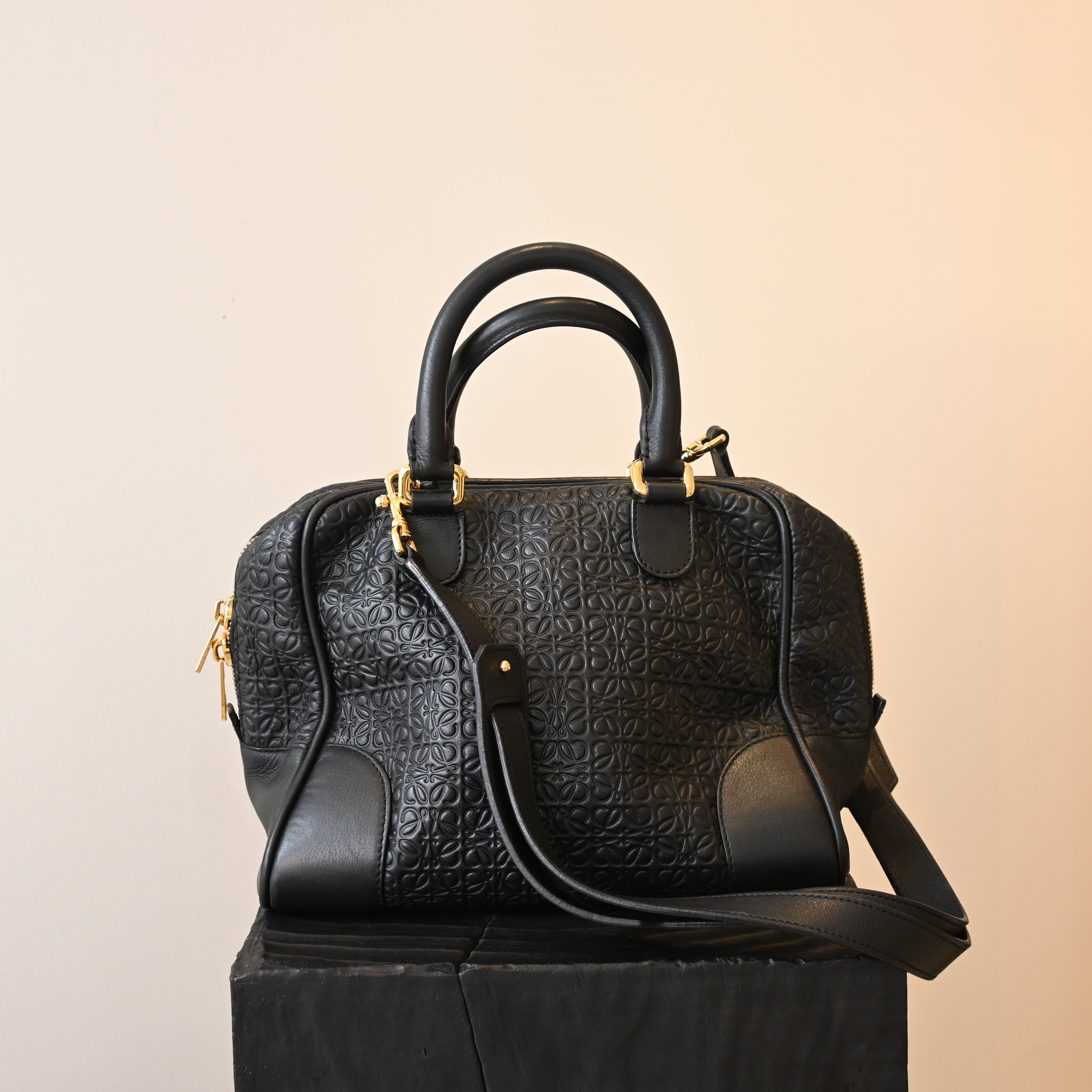 Loewe Amazona 75 Bag