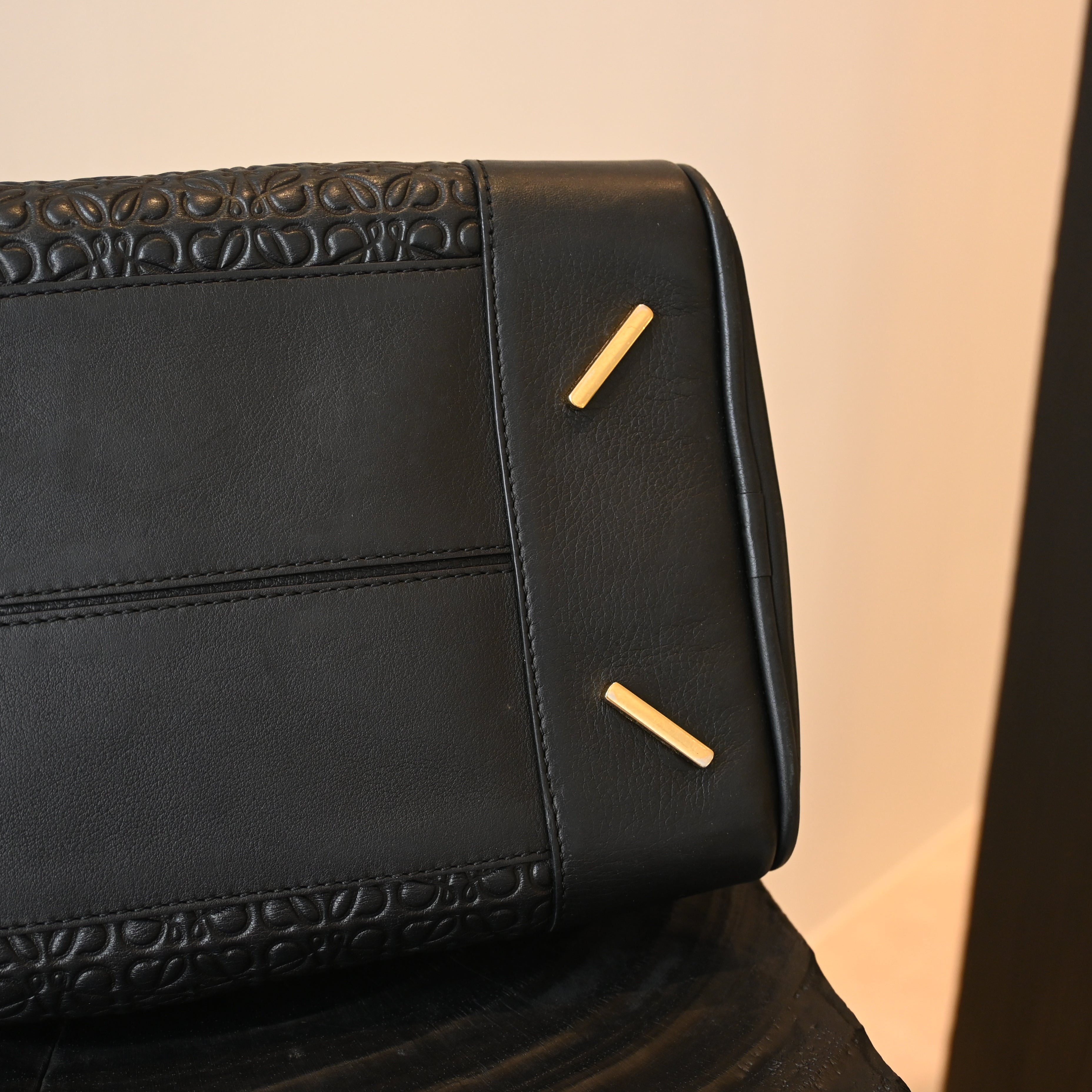 Loewe Amazona 75 Bag