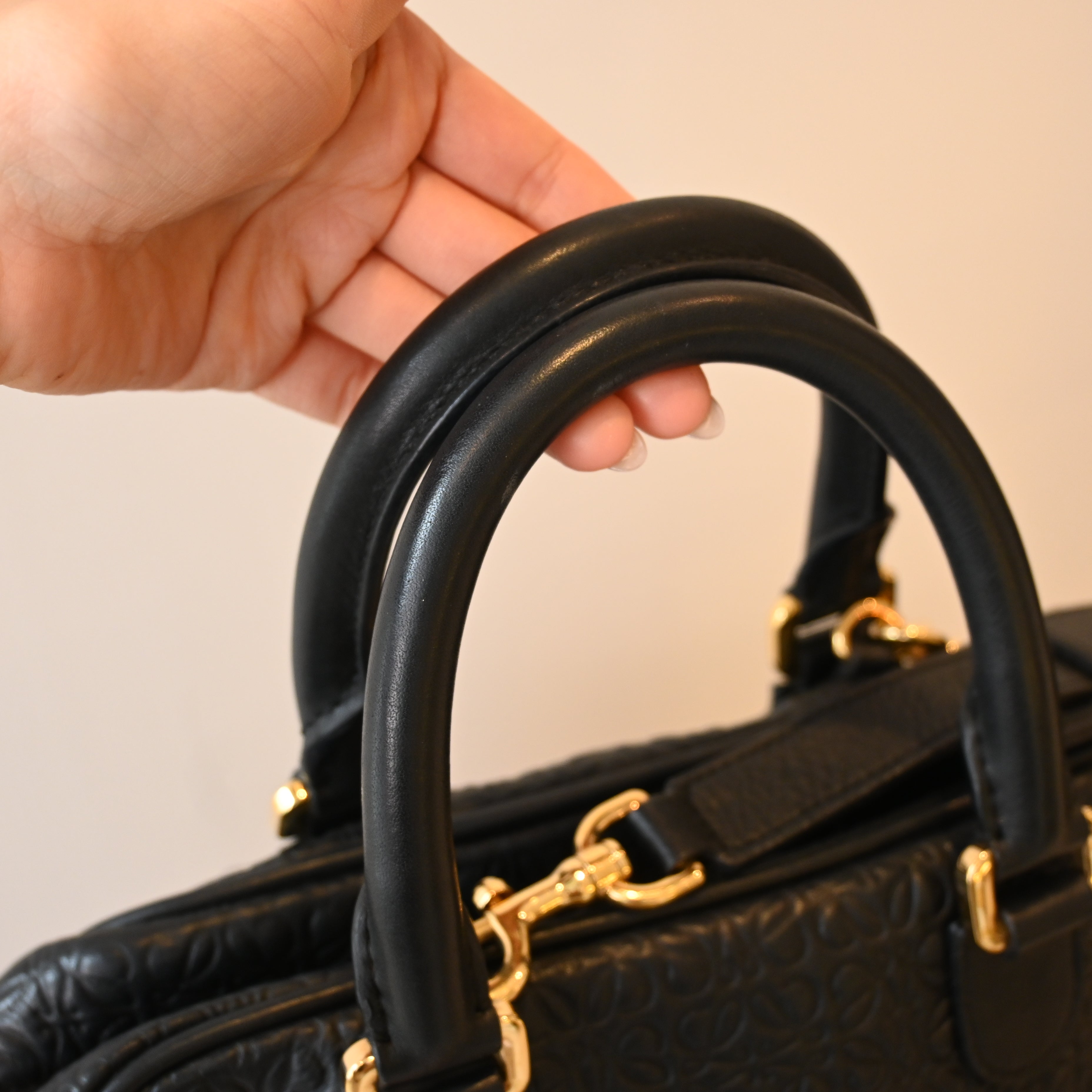 Loewe Amazona 75 Bag