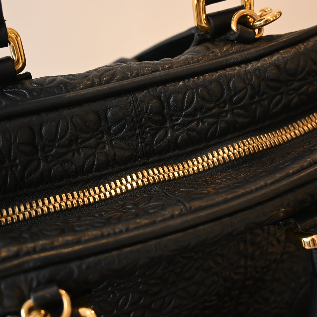 Loewe Amazona 75 Bag