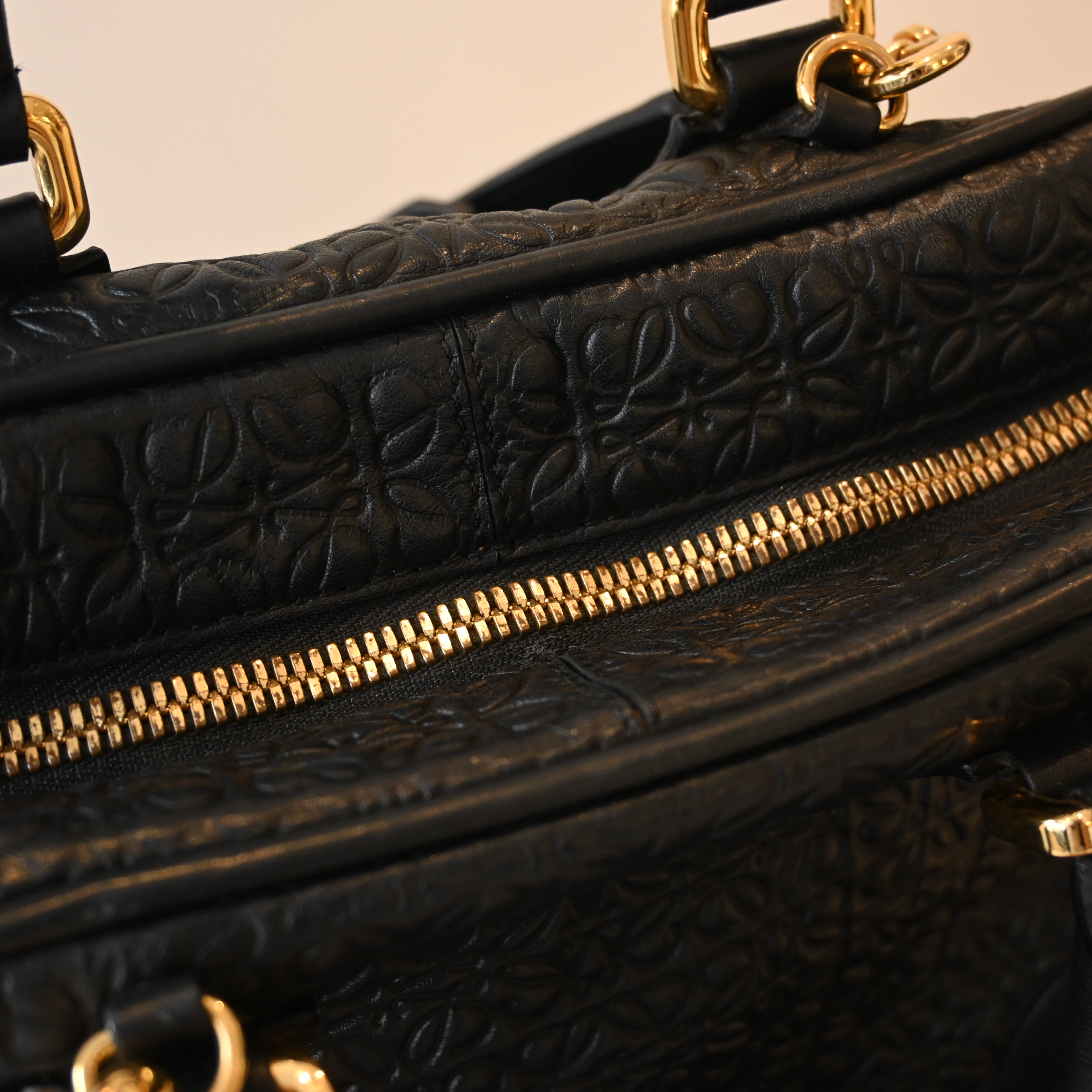 Loewe Amazona 75 Bag