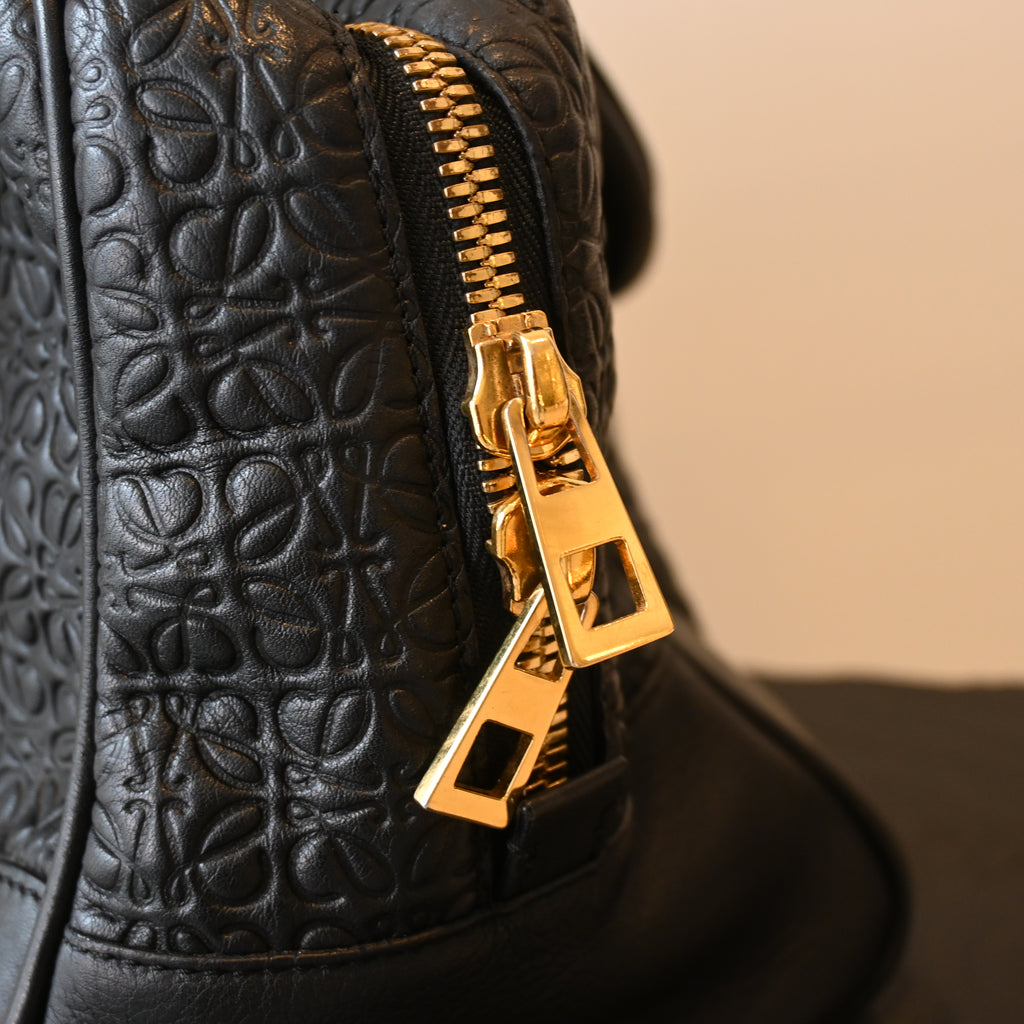 Loewe Amazona 75 Bag