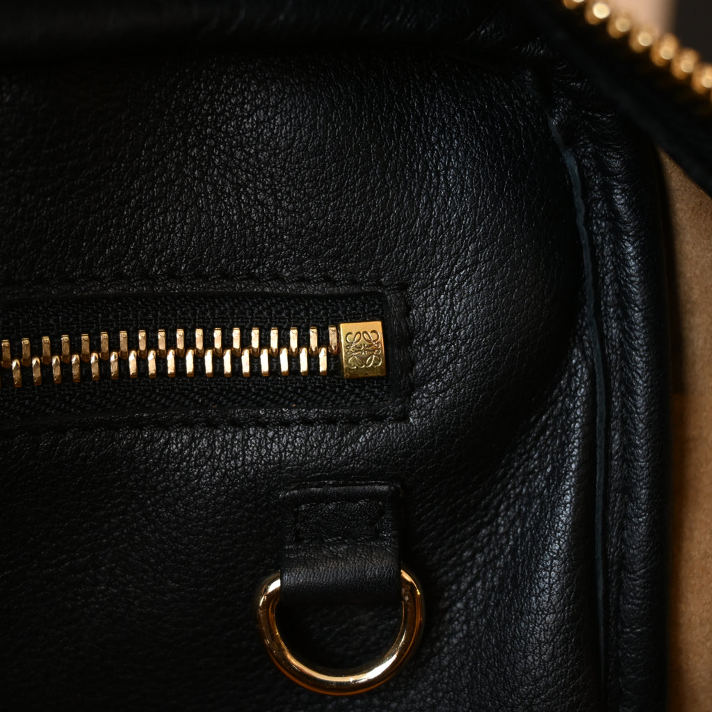 Loewe Amazona 75 Bag