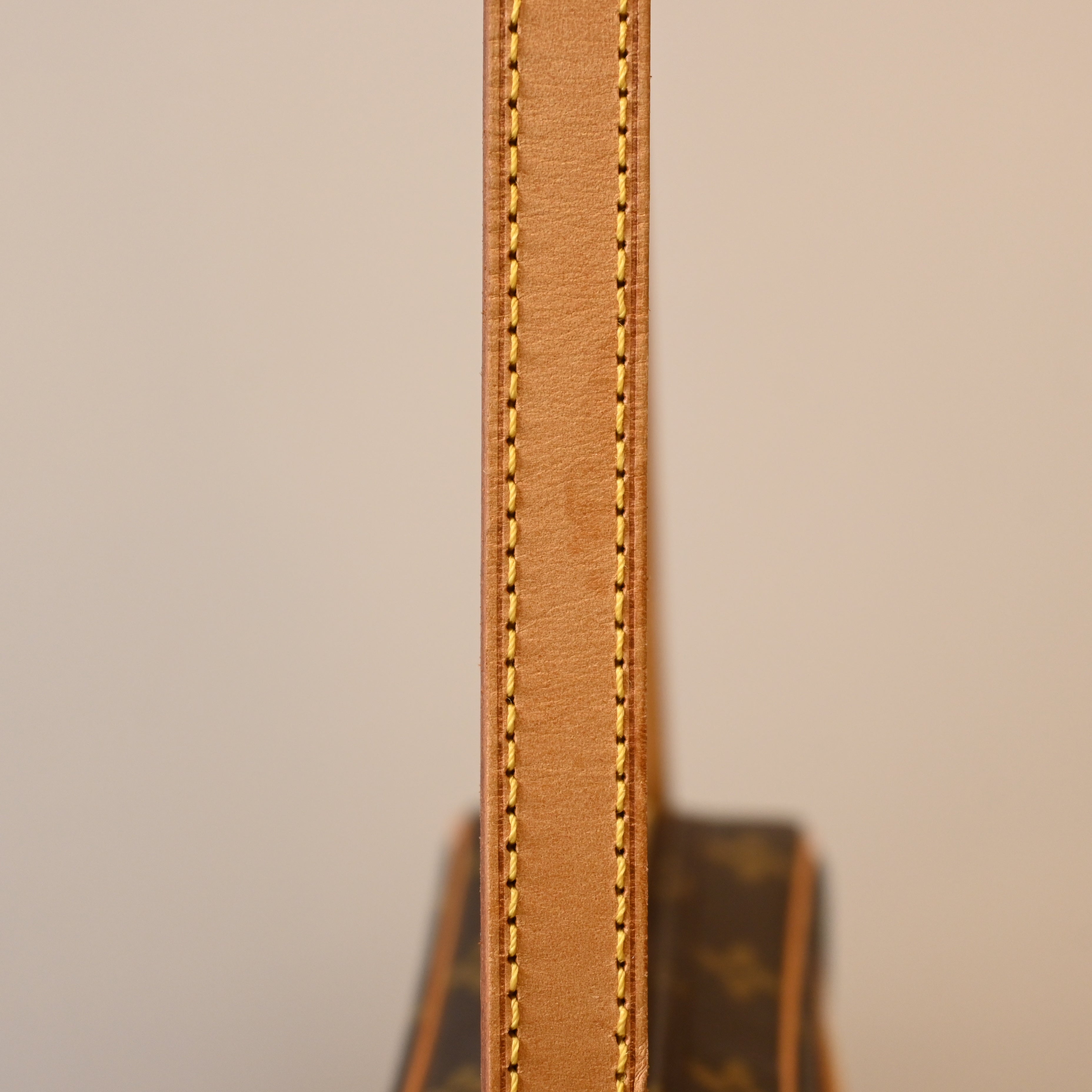 Louis Vuitton Cite PM