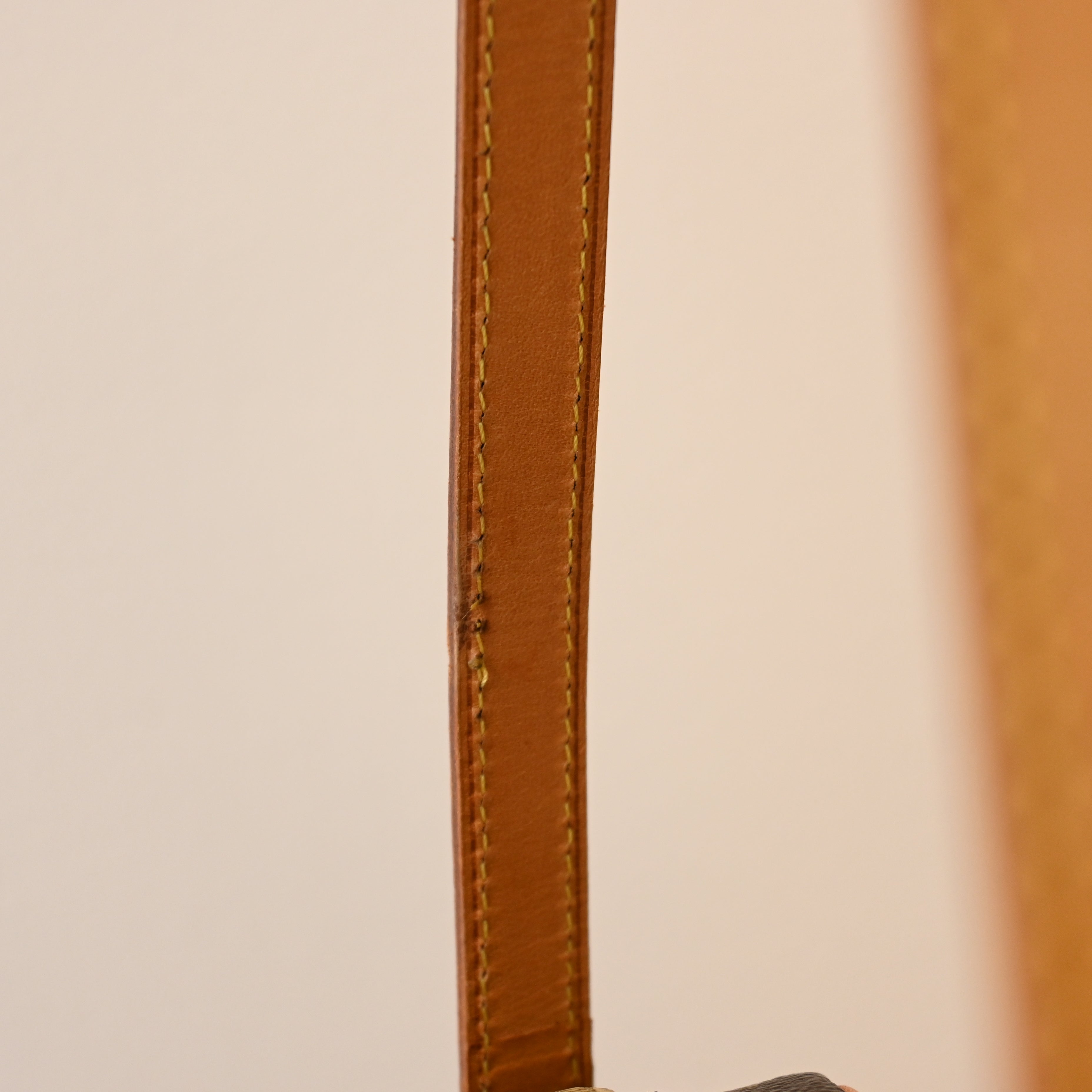 Louis Vuitton Cite PM