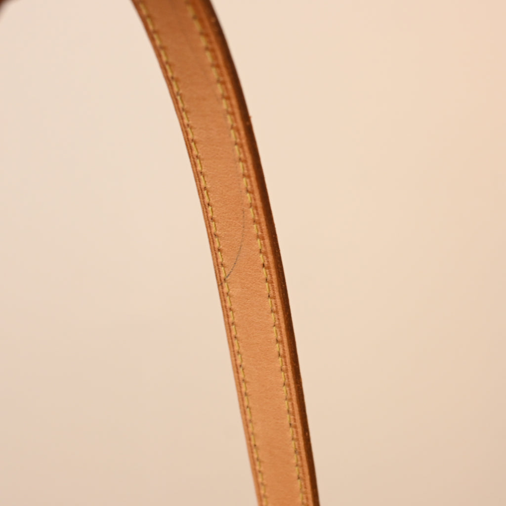 Louis Vuitton Cite PM