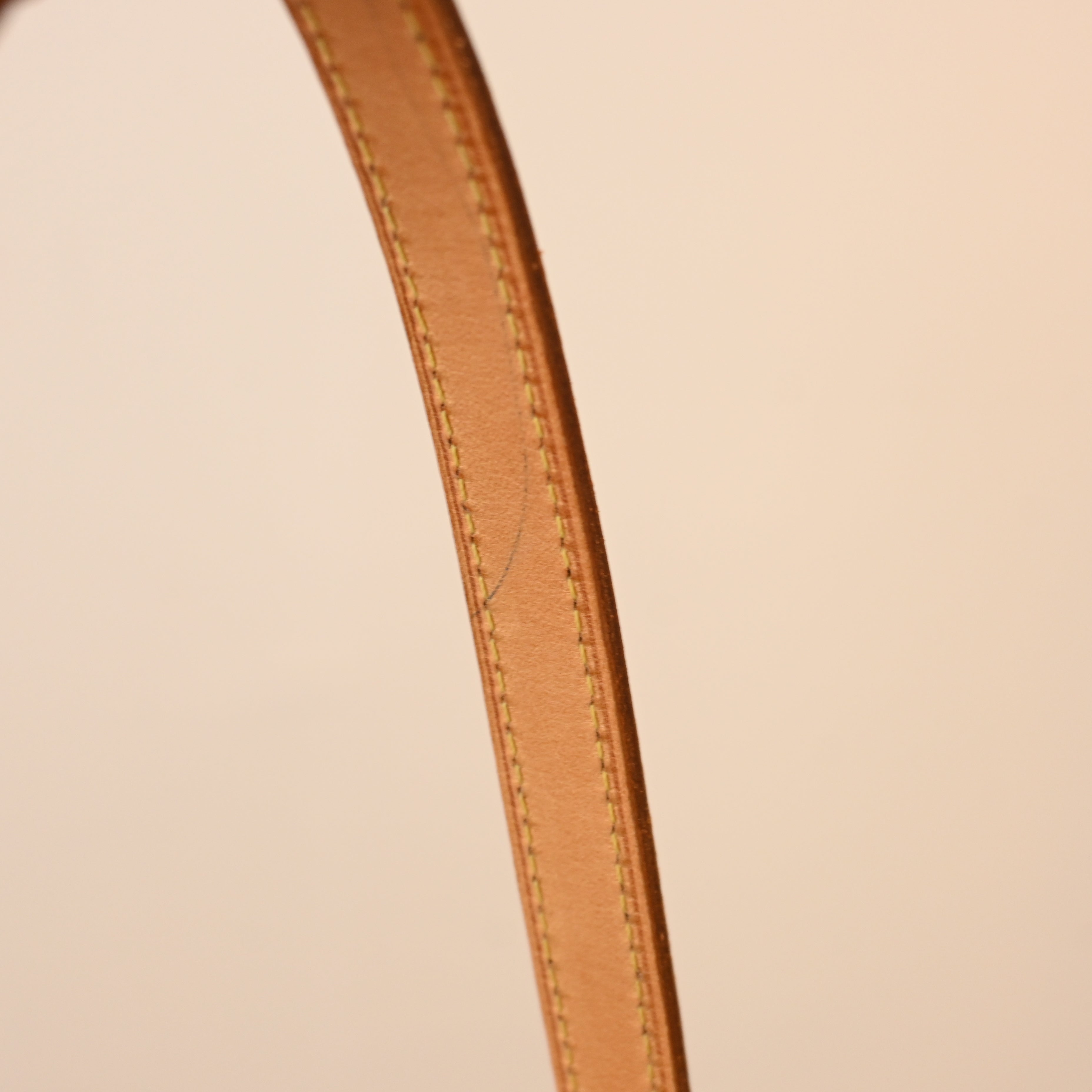 Louis Vuitton Cite PM