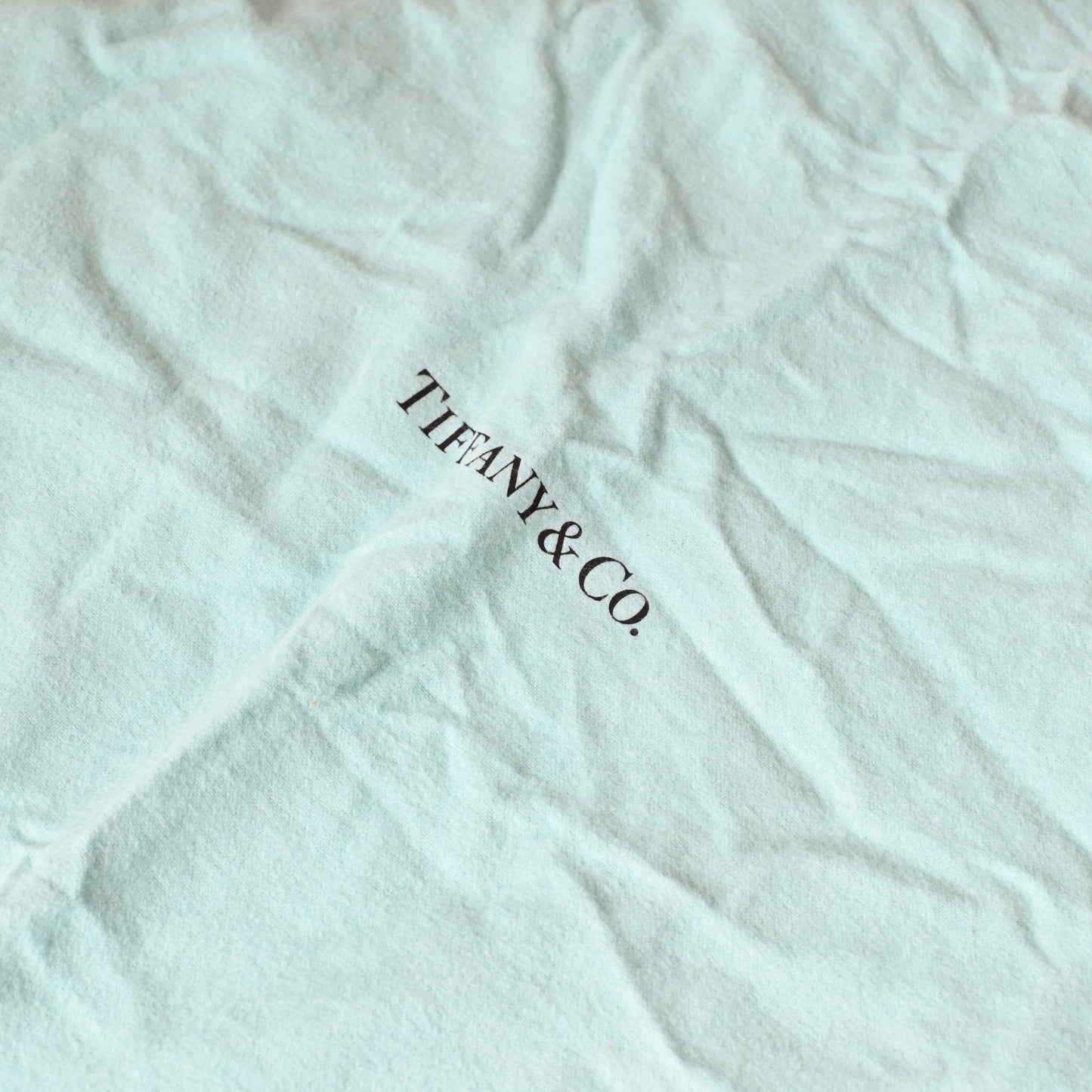 Tiffany & Co Lizard Leather Shoulder Bag