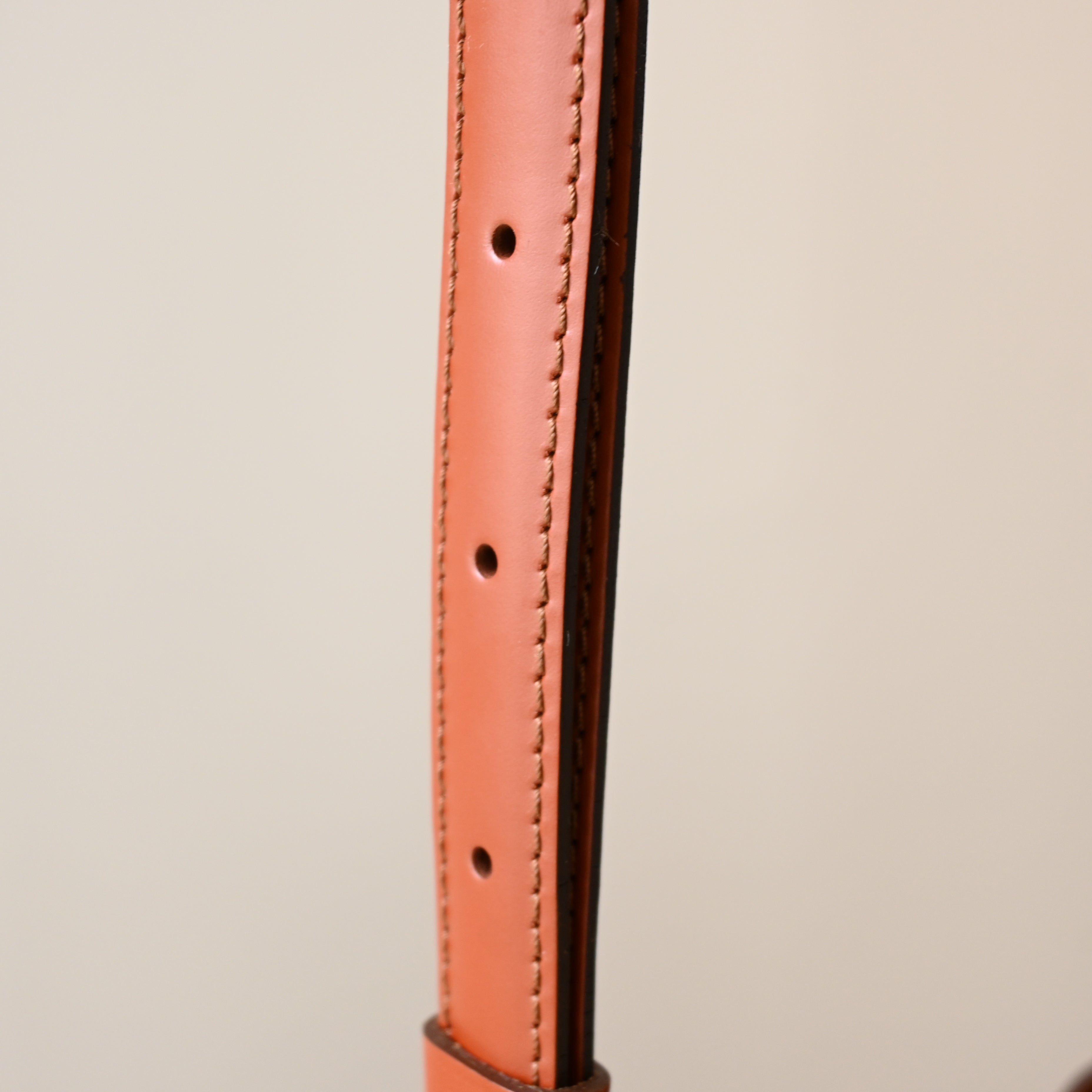 Louis Vuitton Epi Capucines - Leluxe Vintage Sdn. Bhd.