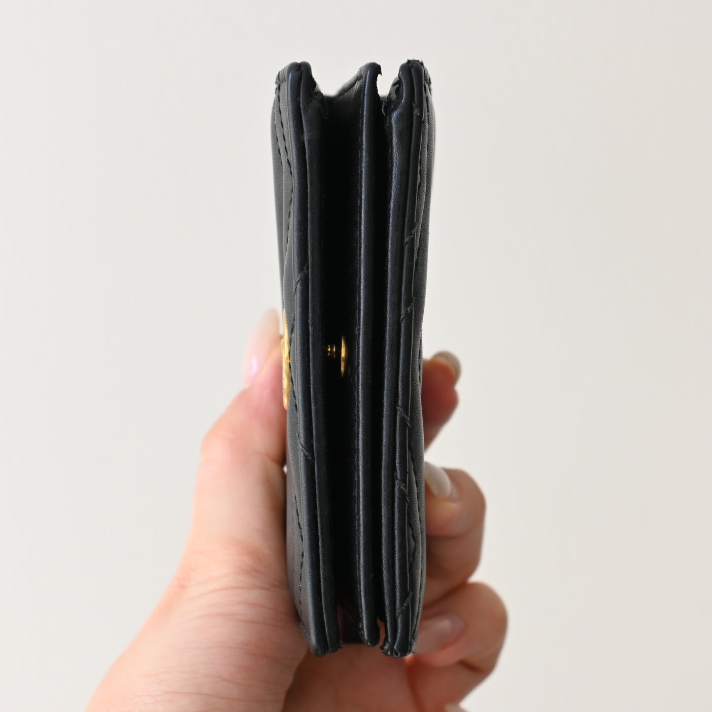 Gucci Marmont Case Wallet