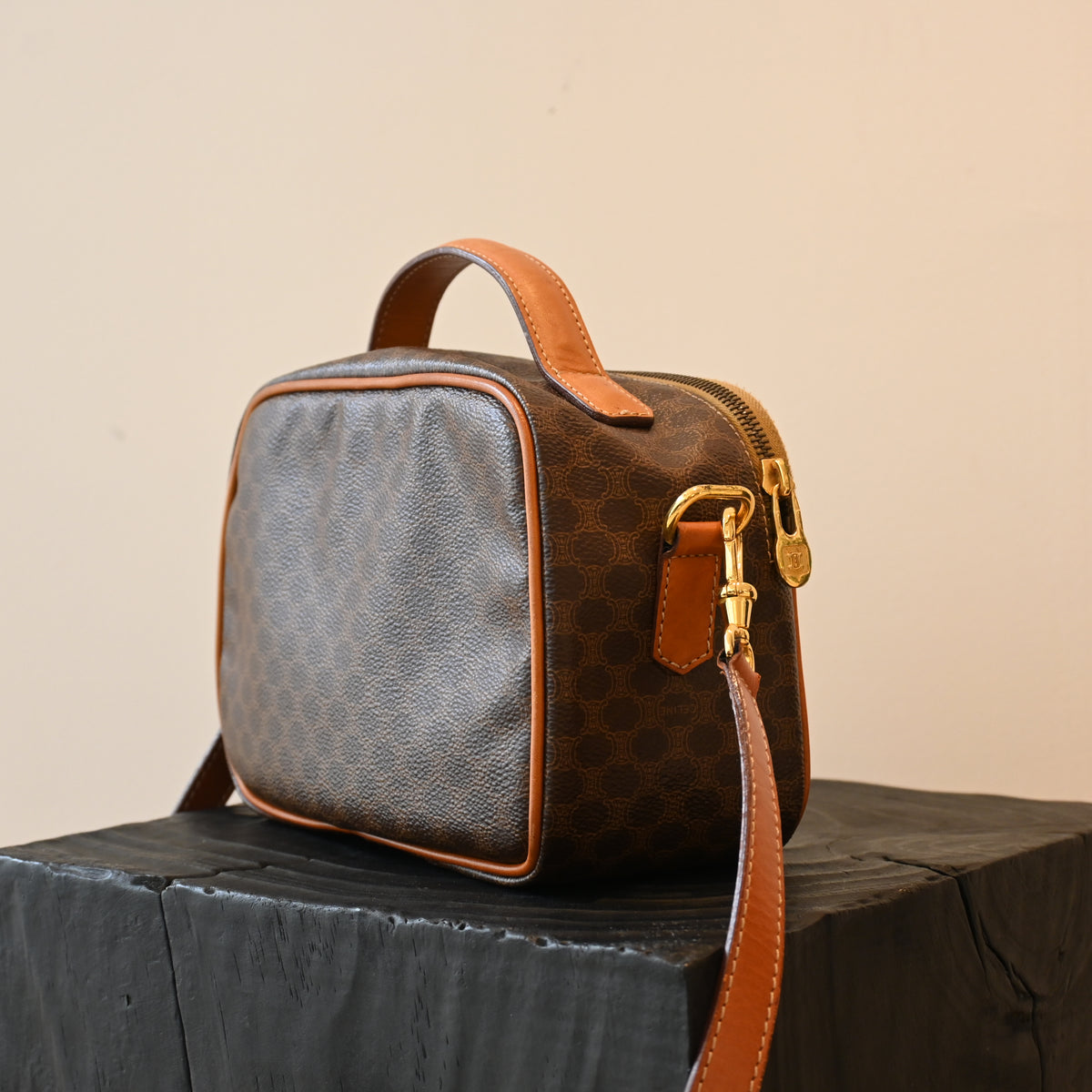 Celine Triomphe Monogram Camera Bag - Leluxe Vintage Sdn. Bhd.
