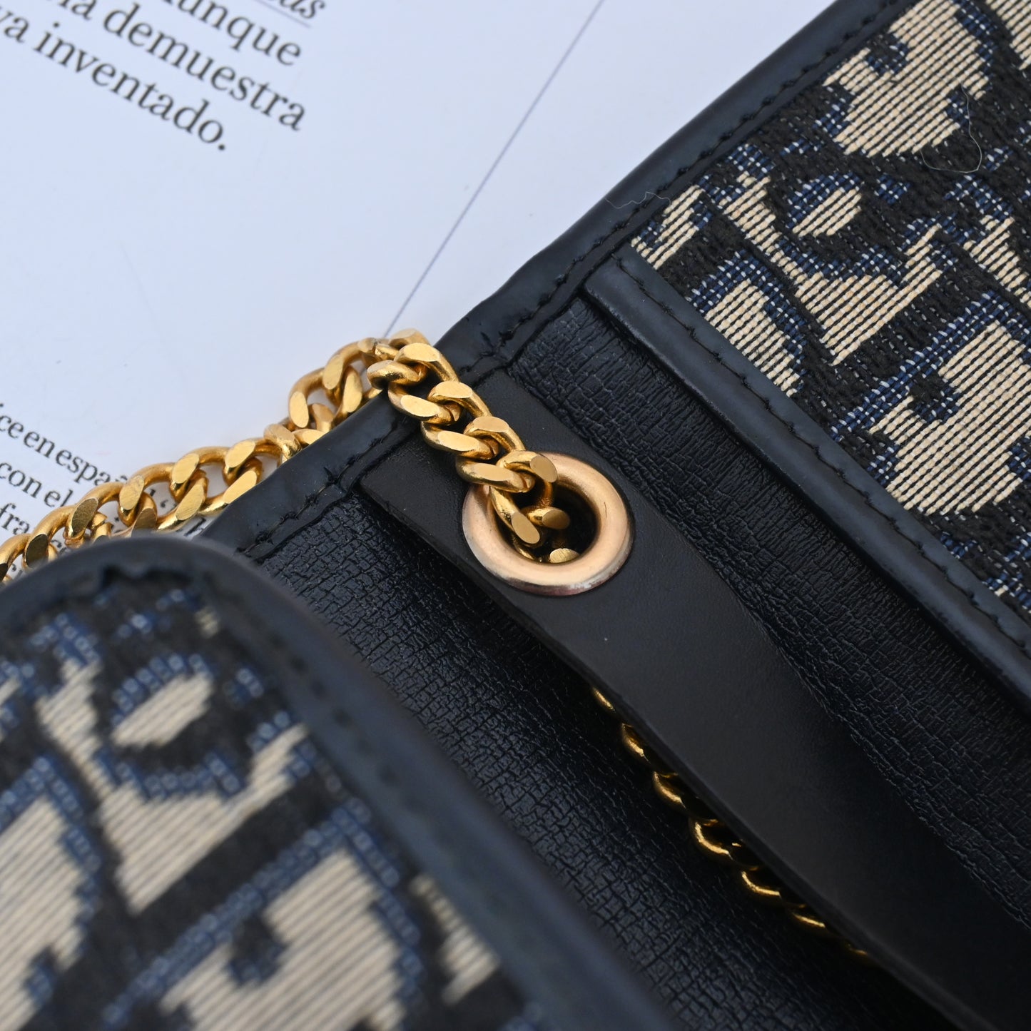 Christian Dior Trotter CD Logo Jacquard Chain bag