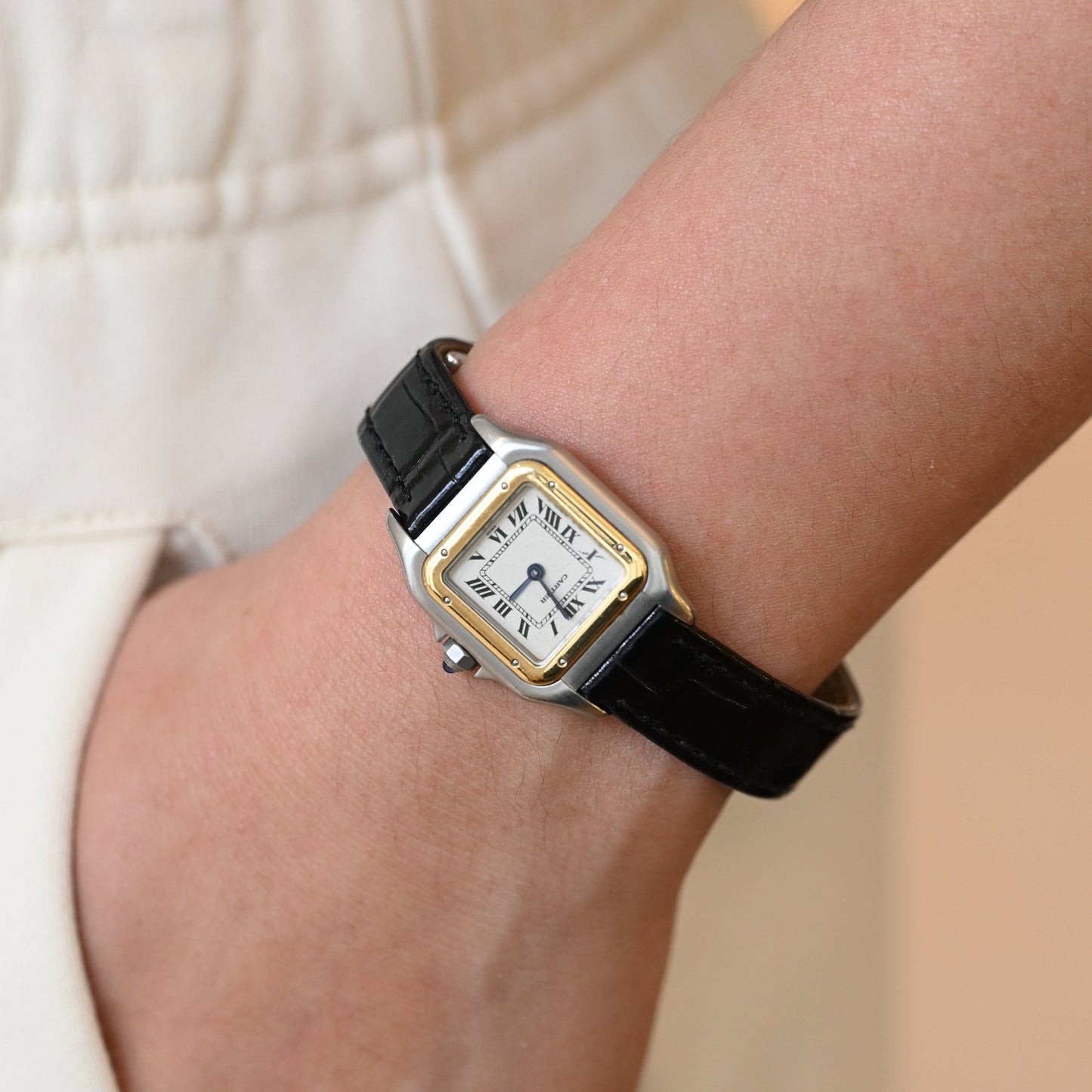 Cartier Panthère Watch SSxYellow Gold W250295D