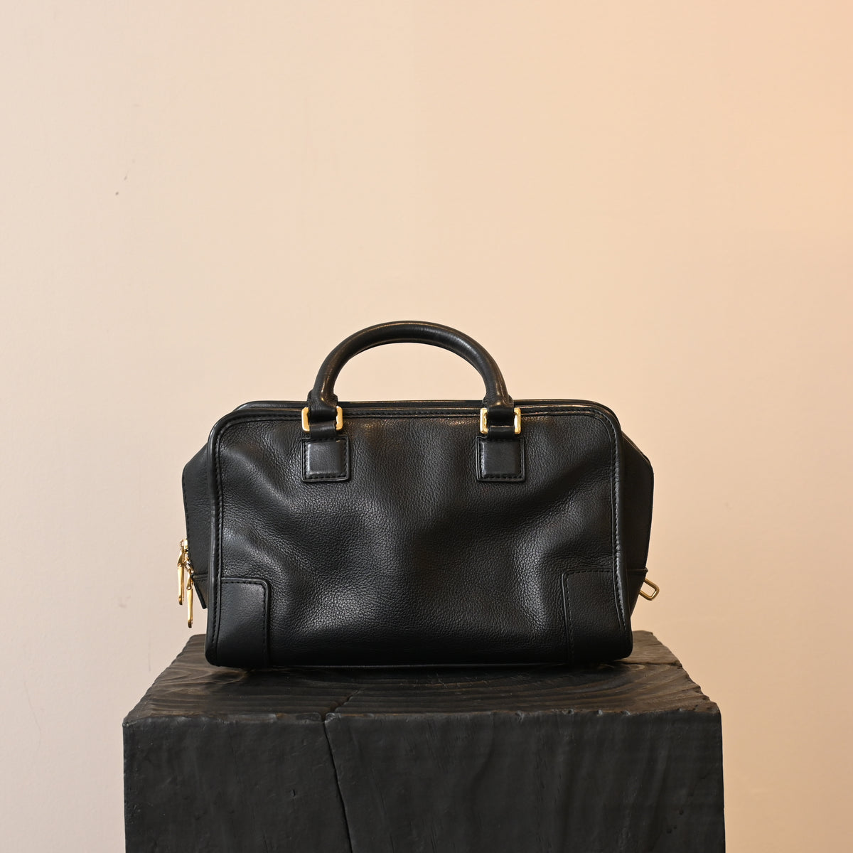 Loewe Amazona 23 Bag