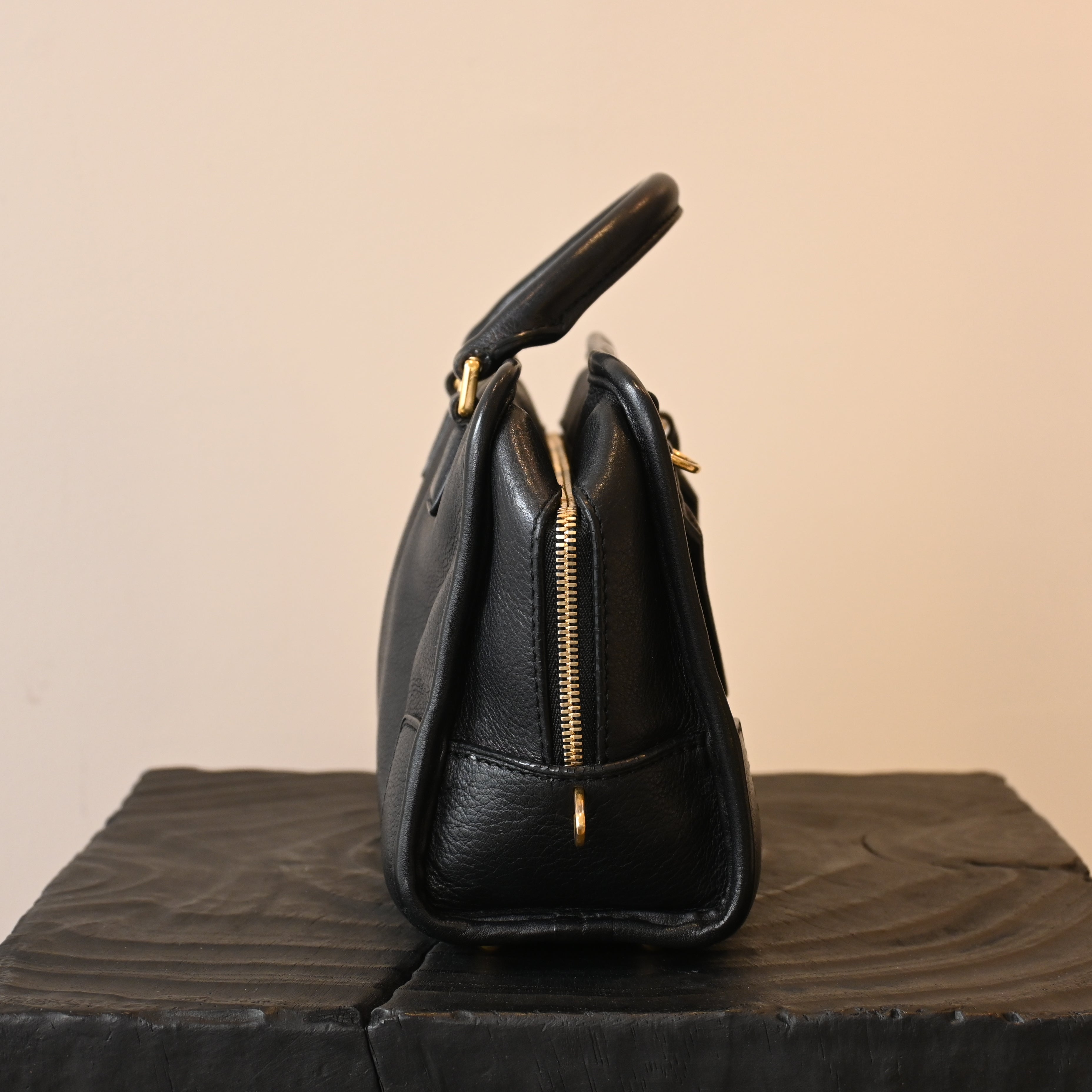Loewe Amazona 23 Bag