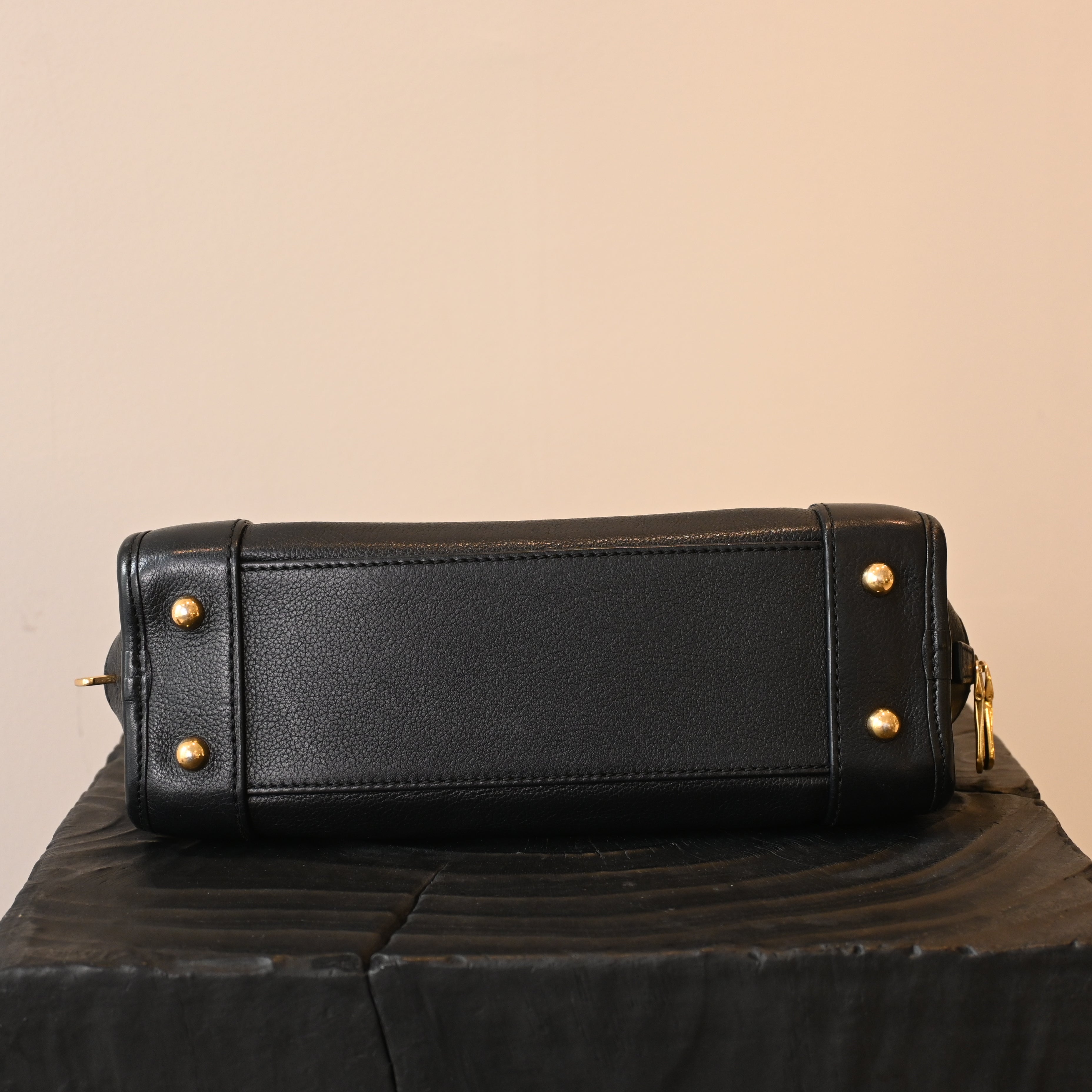 Loewe Amazona 23 Bag