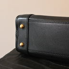 Loewe Amazona 23 Bag