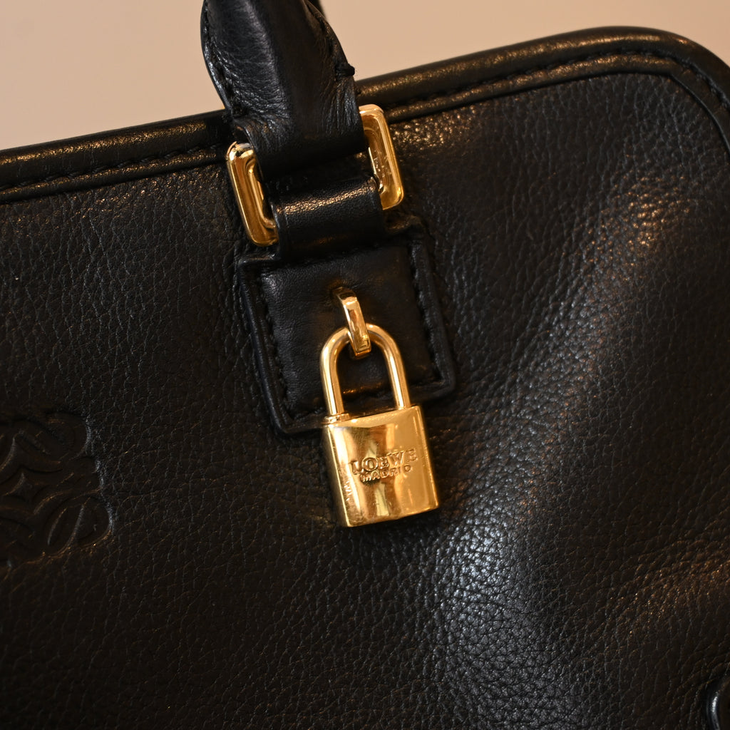 Loewe Amazona 23 Bag