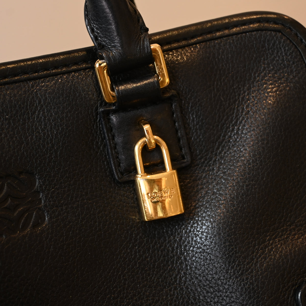 Loewe Amazona 23 Bag