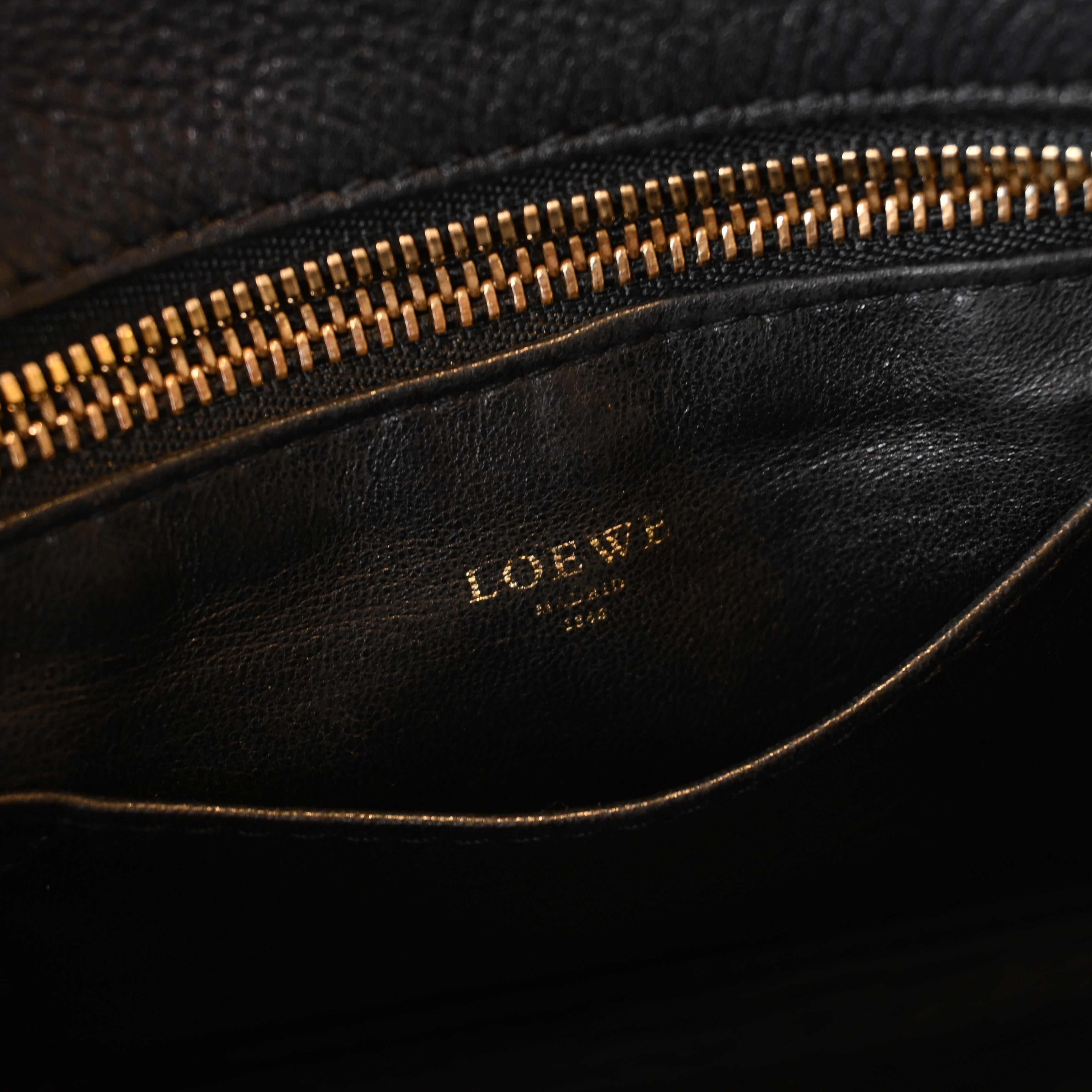 Loewe Amazona 23 Bag
