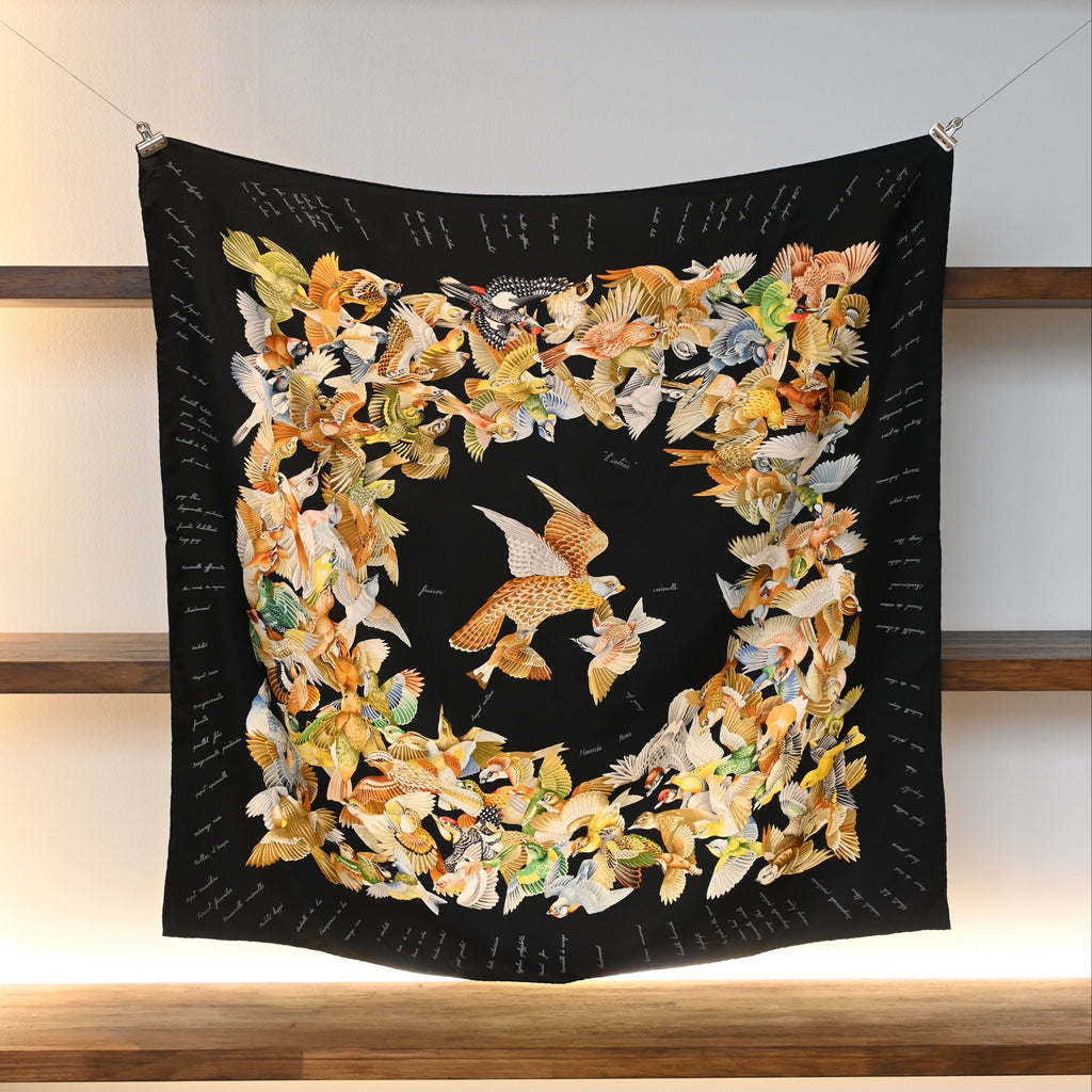 Hermes Scarf L'Intrus Trespasser by Antoine De Jacquelot