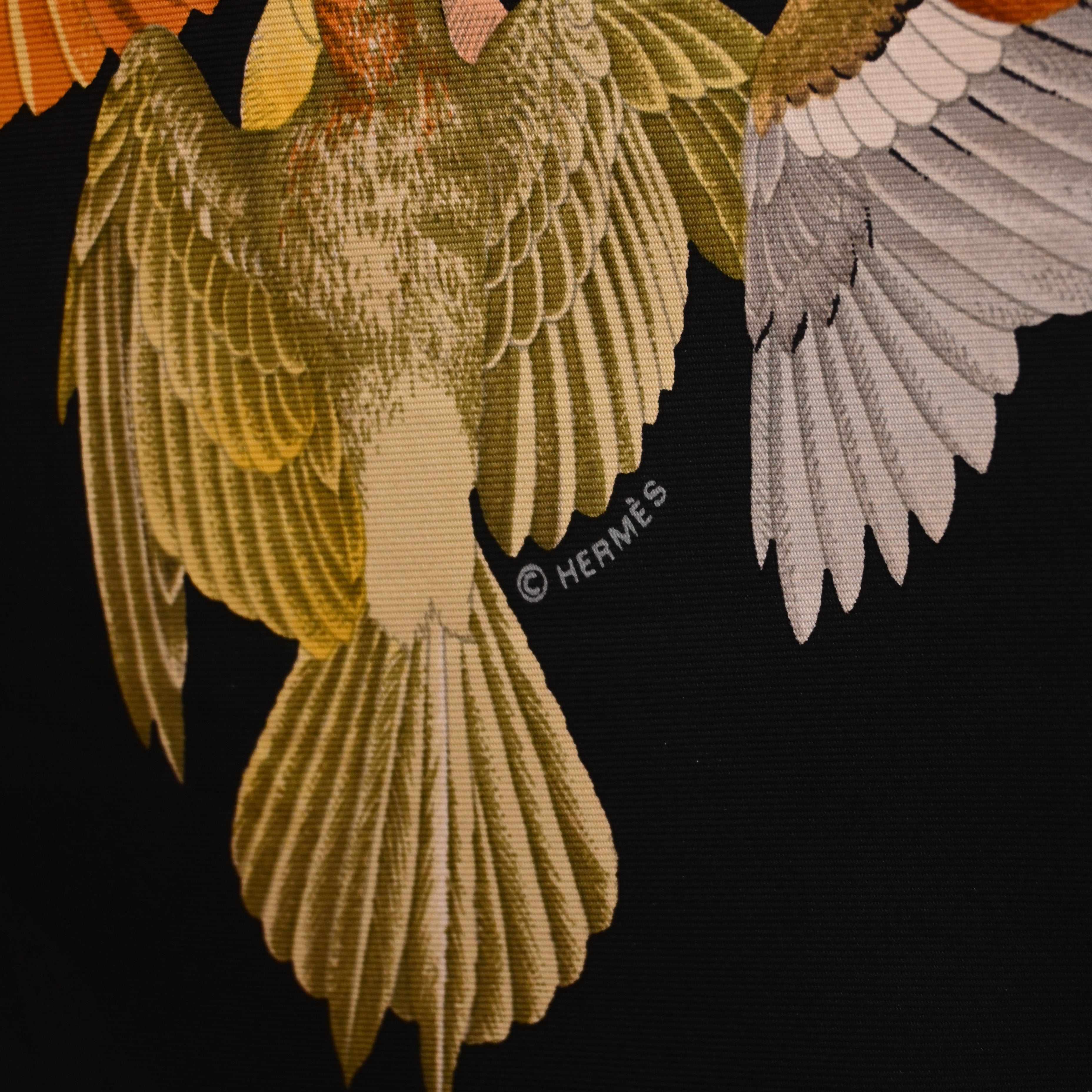 Hermes Scarf L'Intrus Trespasser by Antoine De Jacquelot