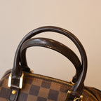 Louis Vuitton Ribera Mini Damier Ebene