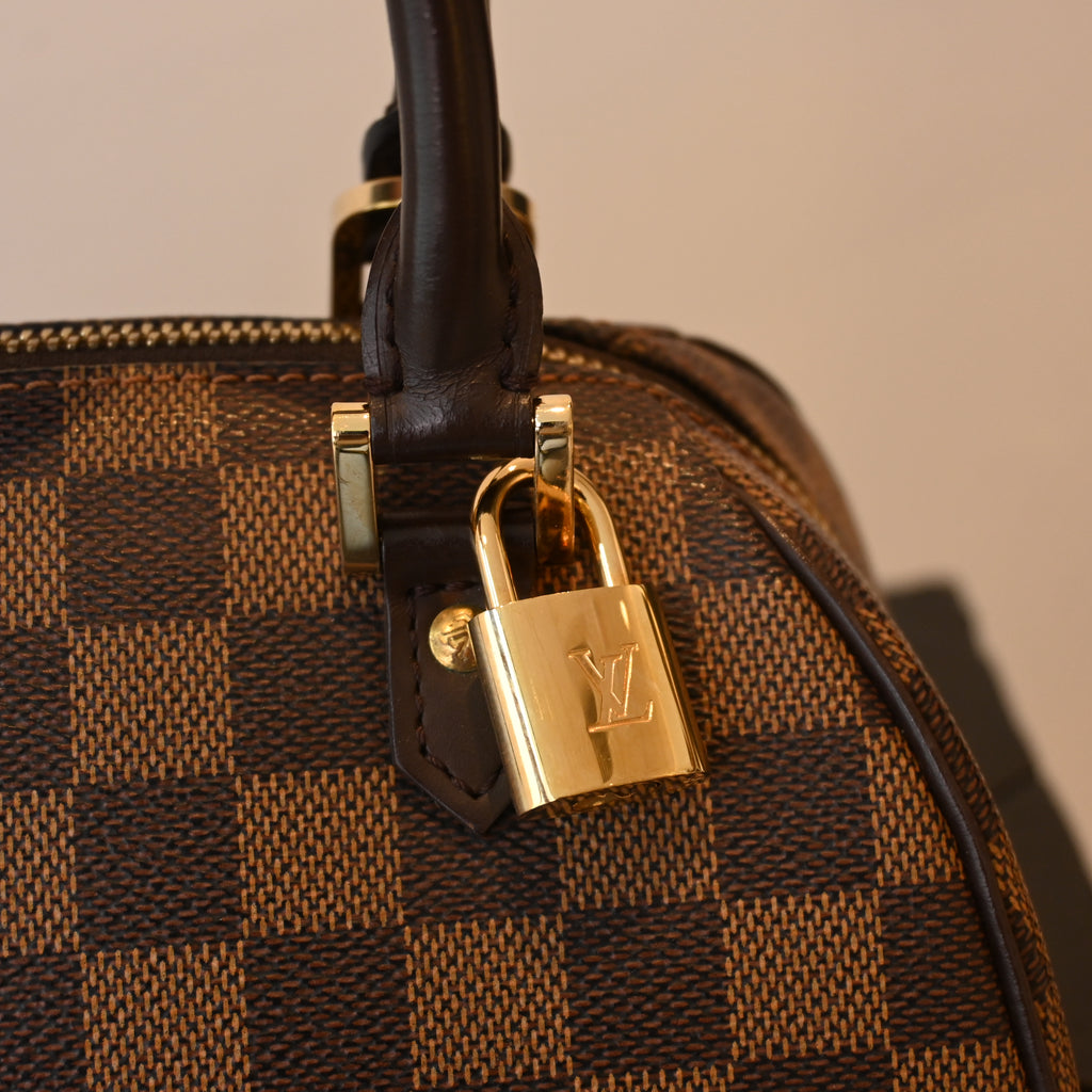 Louis Vuitton Ribera Mini Damier Ebene